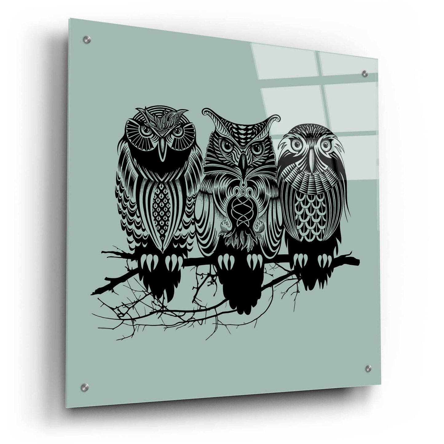 Epic Art 'Owls Of The Nile' by Rachel Caldwell, Acrylic Glass Wall Art,24x24