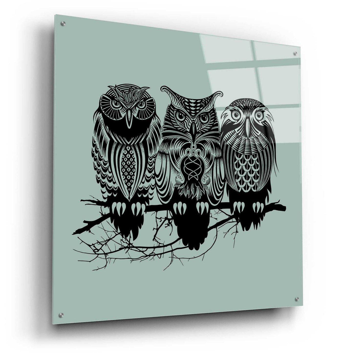 Epic Art 'Owls Of The Nile' by Rachel Caldwell, Acrylic Glass Wall Art,36x36