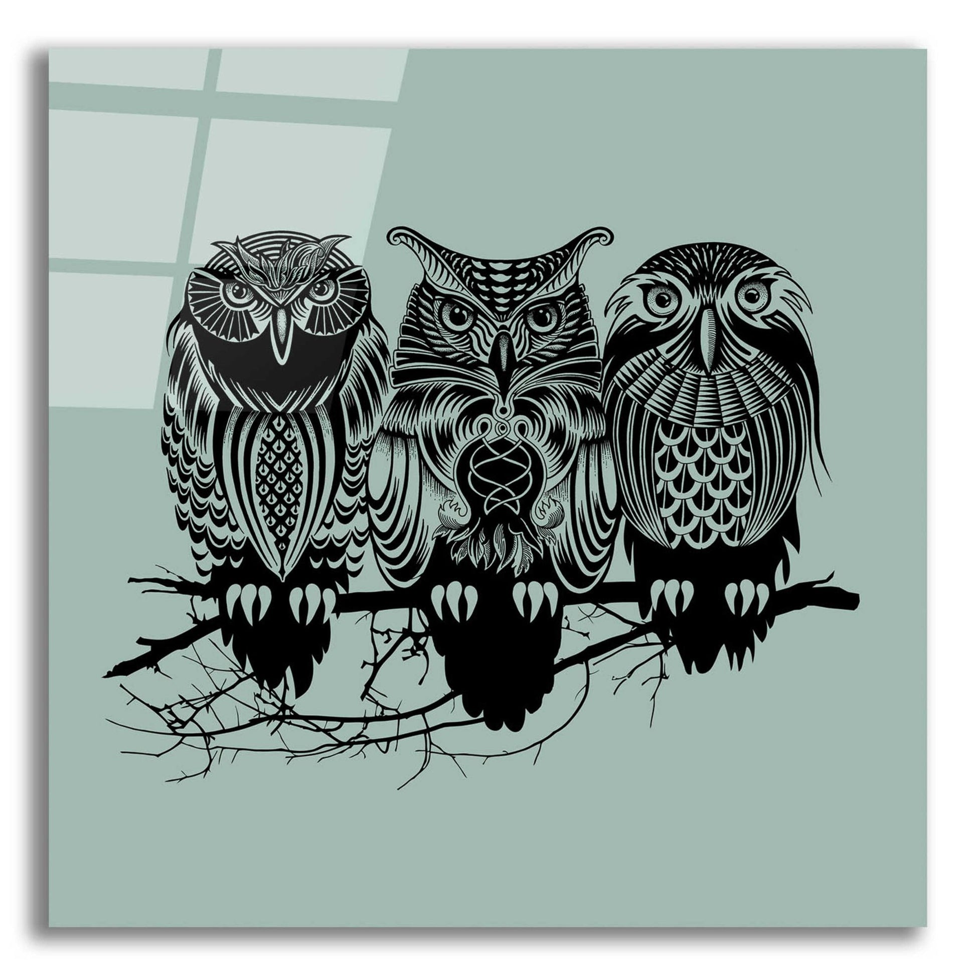 Epic Art 'Owls Of The Nile' by Rachel Caldwell, Acrylic Glass Wall Art