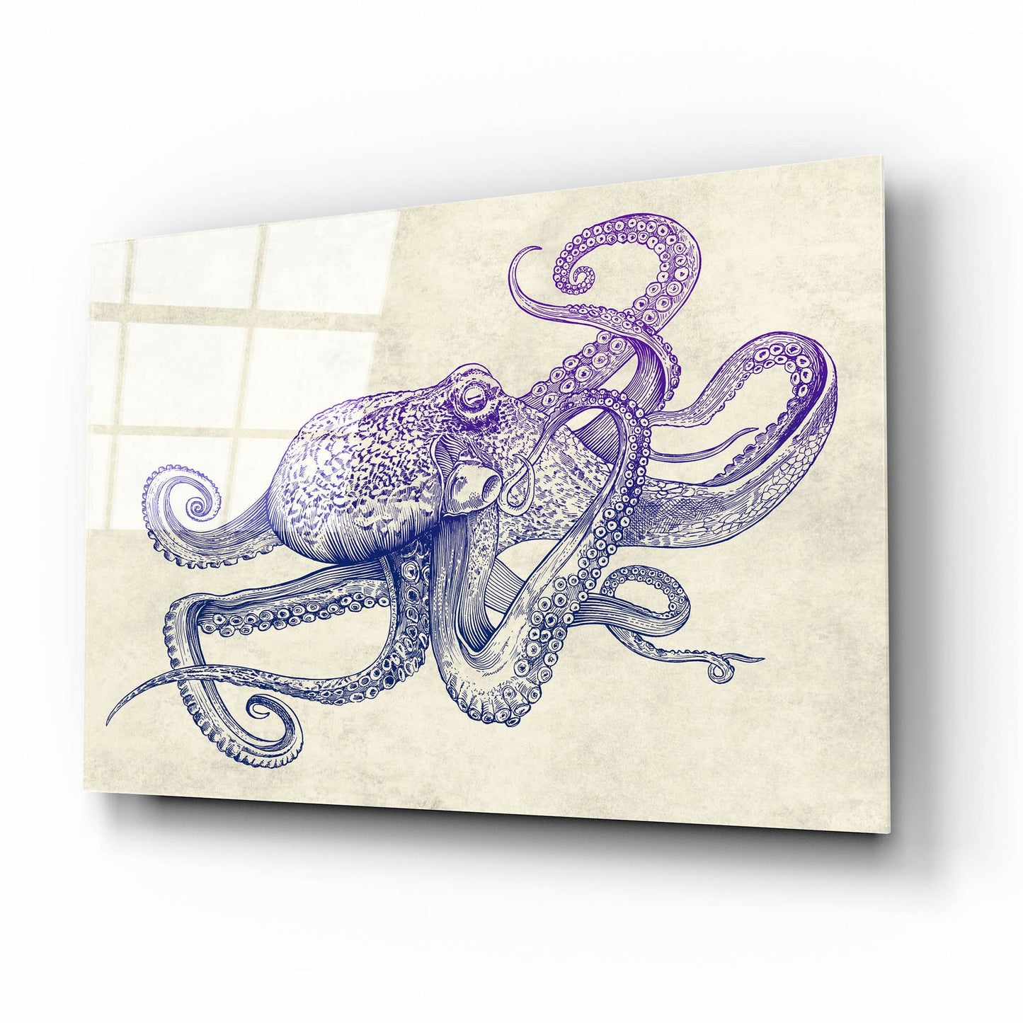 Epic Art 'Octo-Flow' by Epic Portfolio, Acrylic Glass Wall Art,16x12