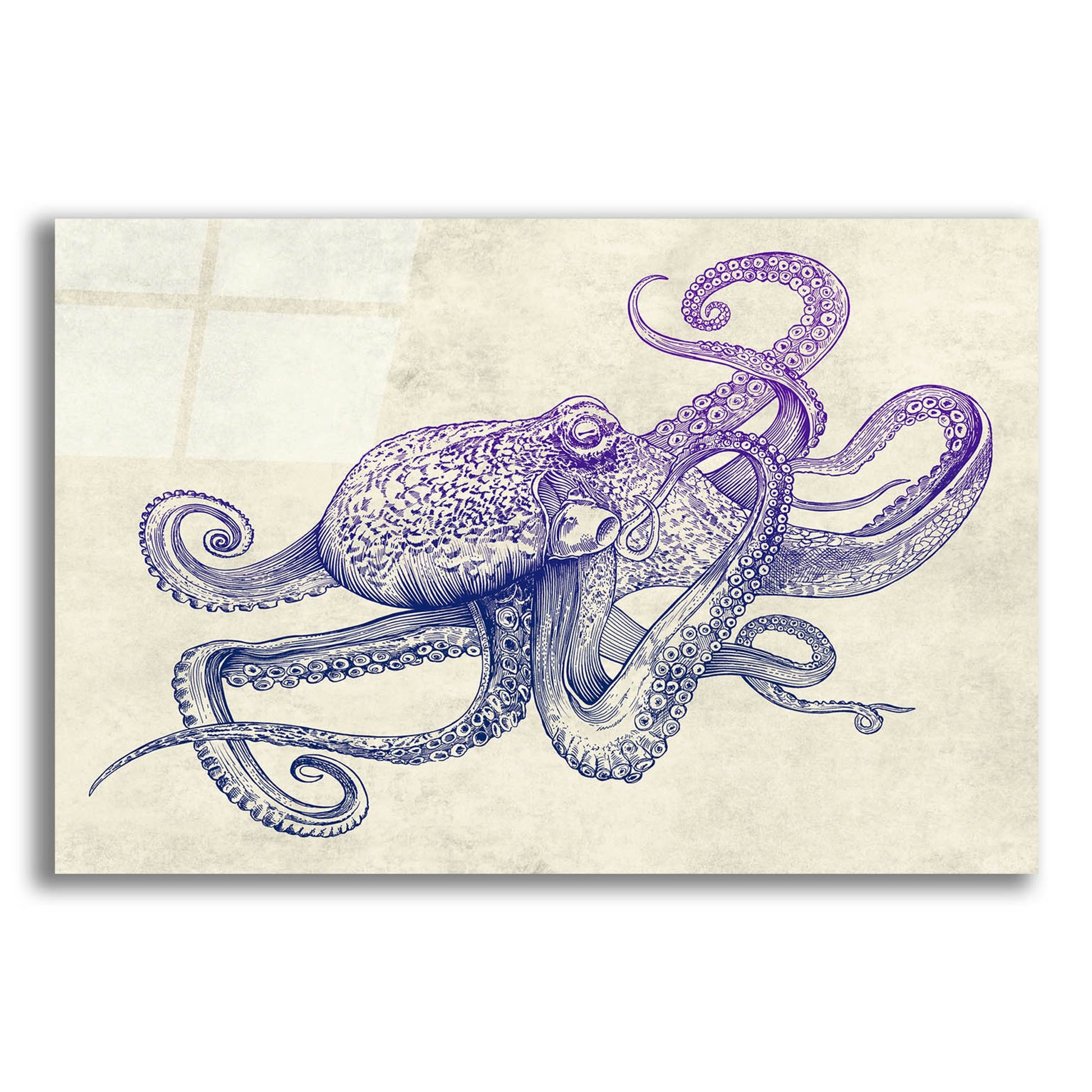 Epic Art 'Octo-Flow' by Epic Portfolio, Acrylic Glass Wall Art,16x12