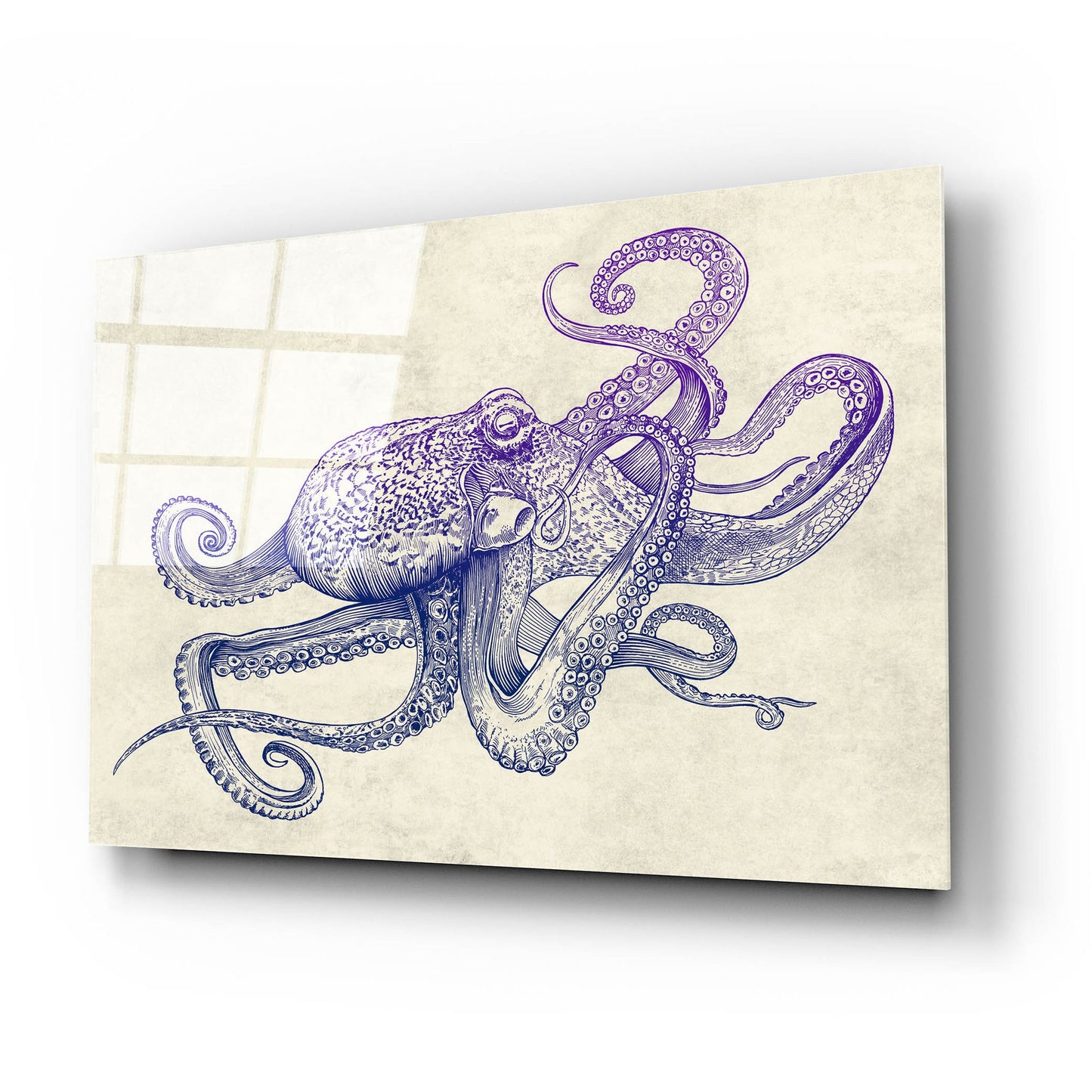 Epic Art 'Octo-Flow' by Epic Portfolio, Acrylic Glass Wall Art,24x16