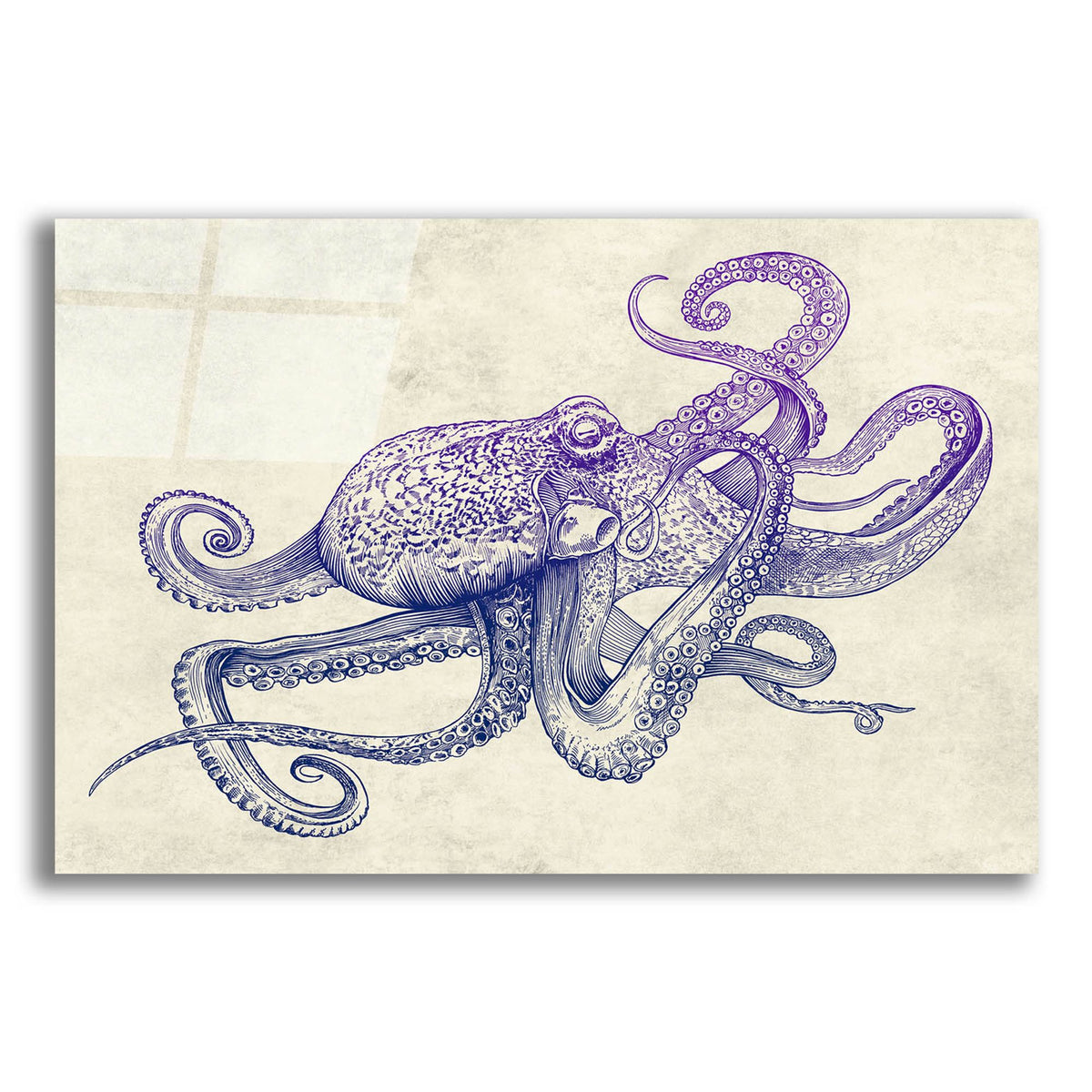 Epic Art 'Octo-Flow' by Epic Portfolio, Acrylic Glass Wall Art
