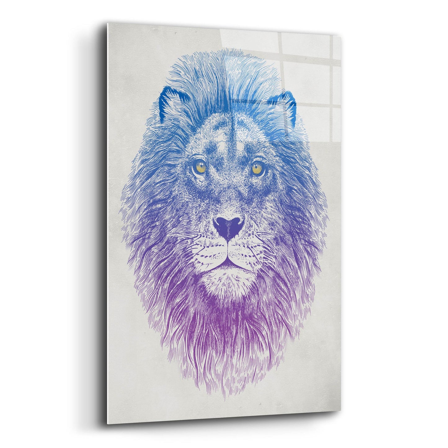 Epic Art 'Lion Face' by Rachel Caldwell, Acrylic Glass Wall Art,12x16