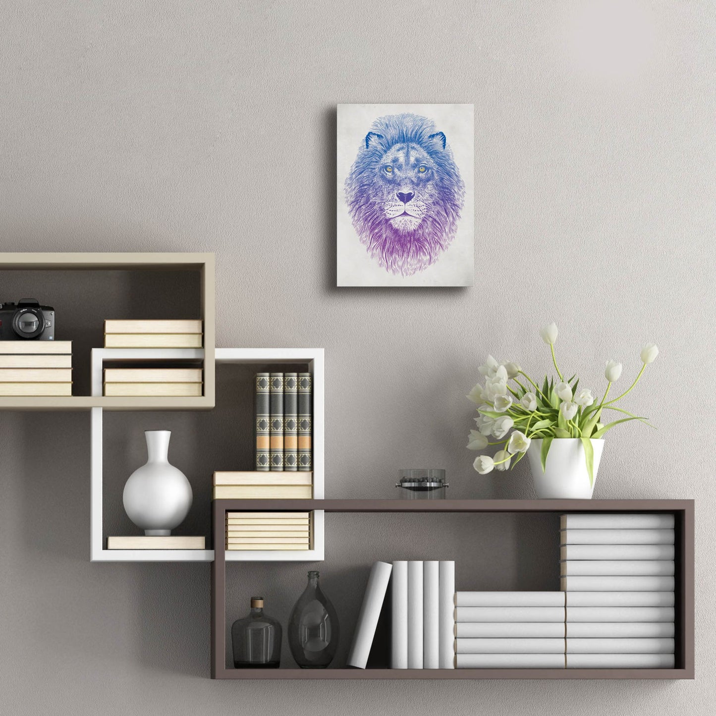 Epic Art 'Lion Face' by Rachel Caldwell, Acrylic Glass Wall Art,12x16