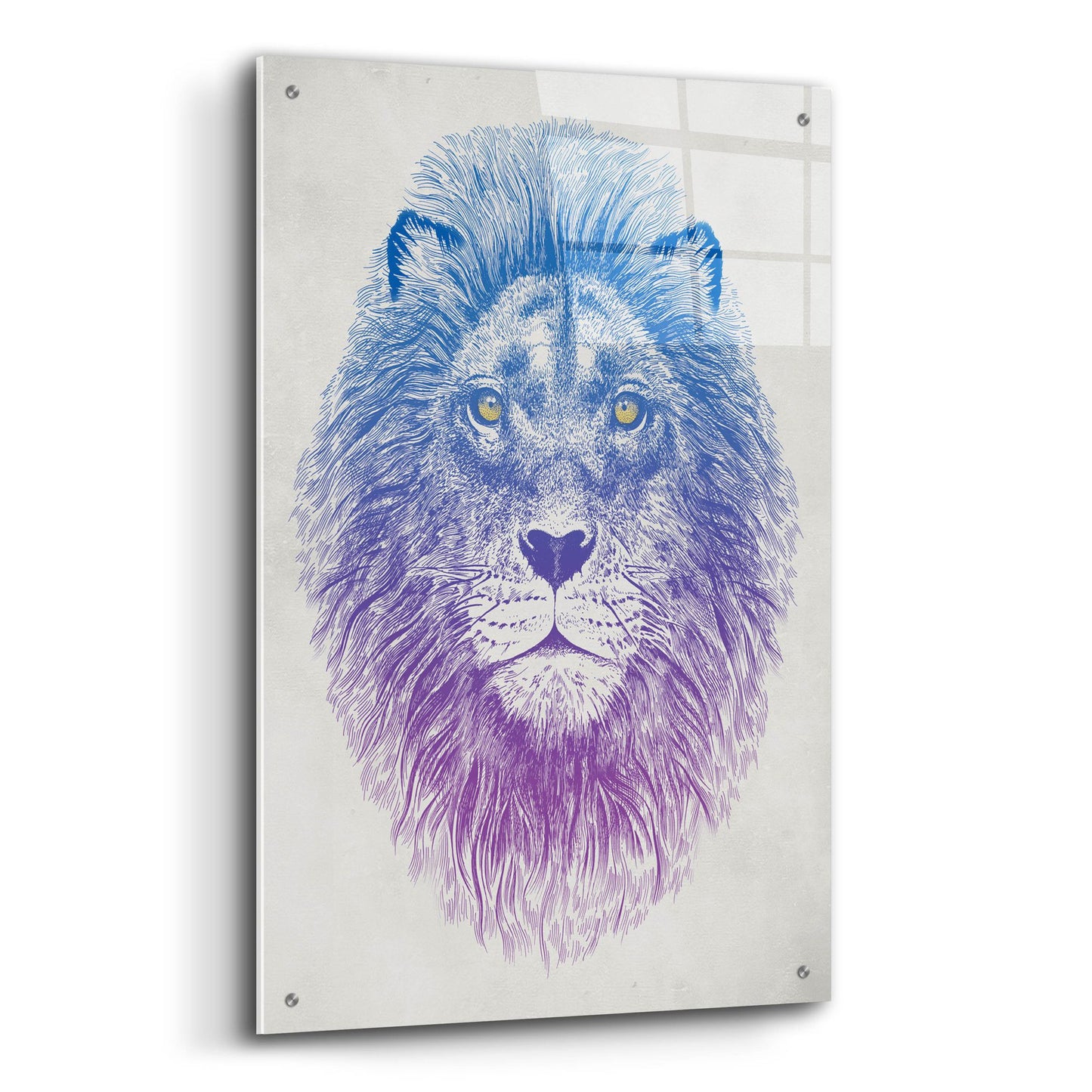 Epic Art 'Lion Face' by Rachel Caldwell, Acrylic Glass Wall Art,24x36