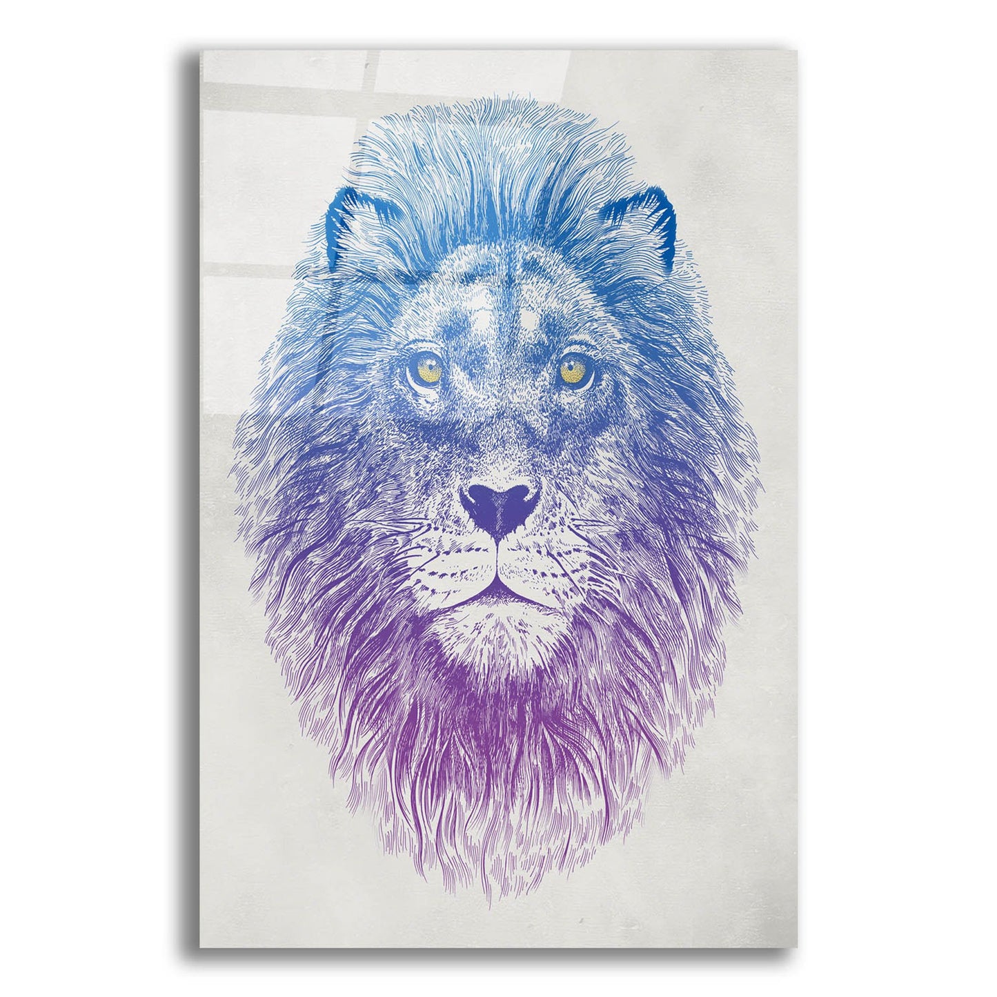 Epic Art 'Lion Face' by Rachel Caldwell, Acrylic Glass Wall Art