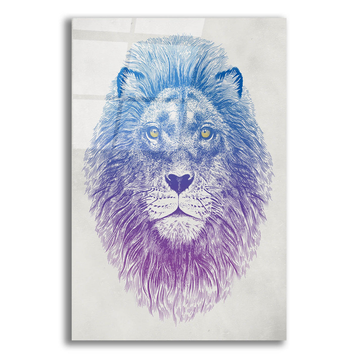 Epic Art 'Lion Face' by Rachel Caldwell, Acrylic Glass Wall Art