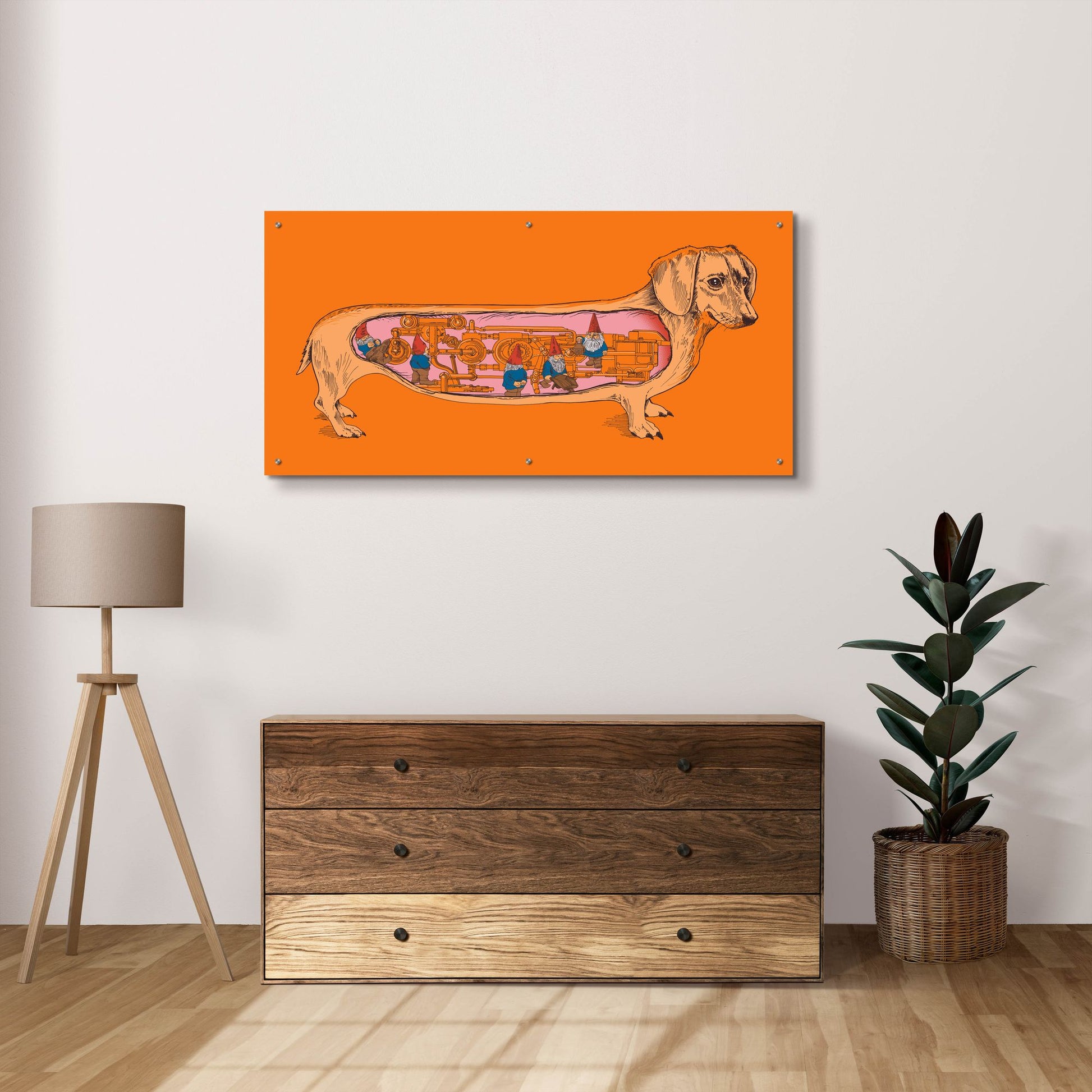 Epic Art 'Dachshund' by Rachel Caldwell, Acrylic Glass Wall Art,48x24