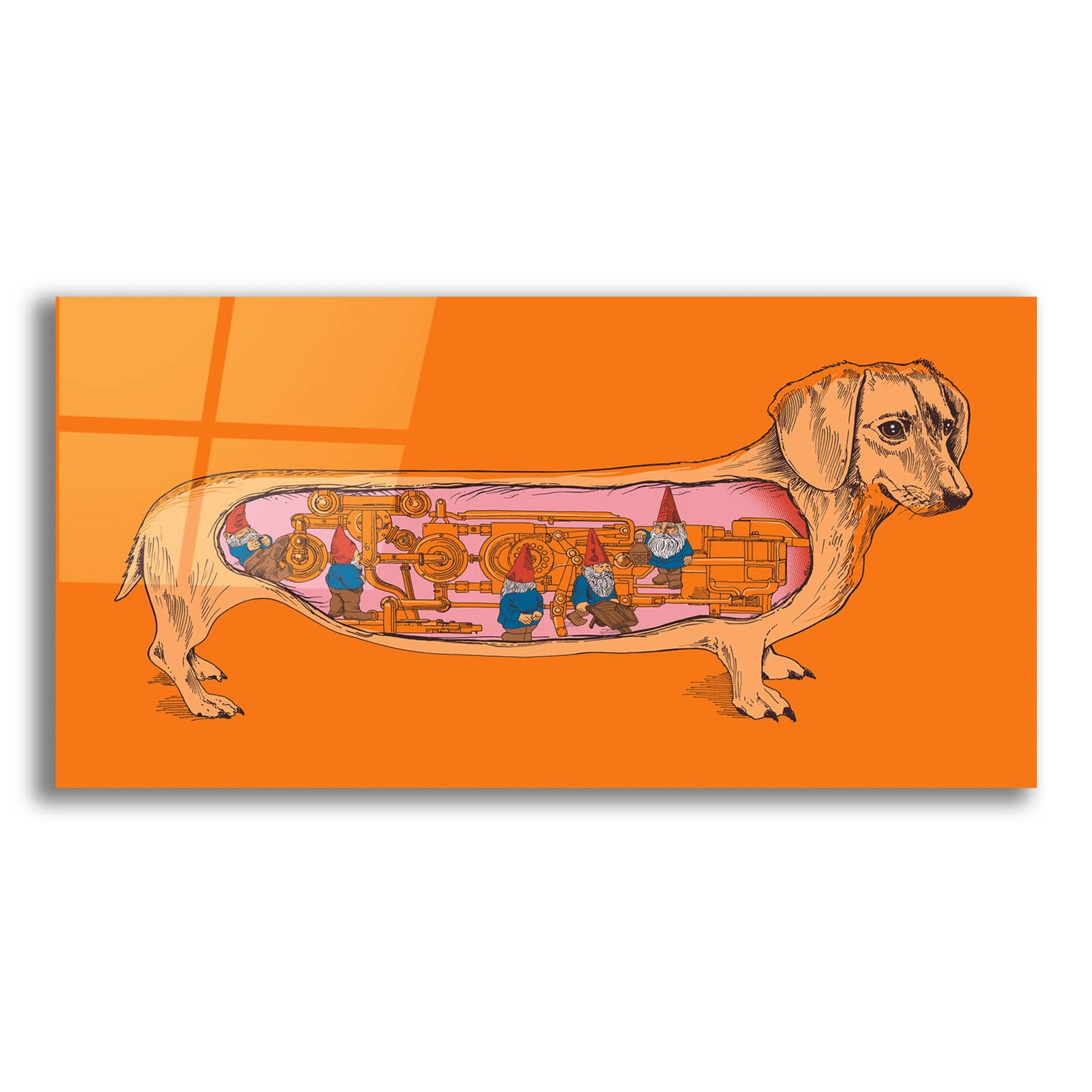 Epic Art 'Dachshund' by Rachel Caldwell, Acrylic Glass Wall Art