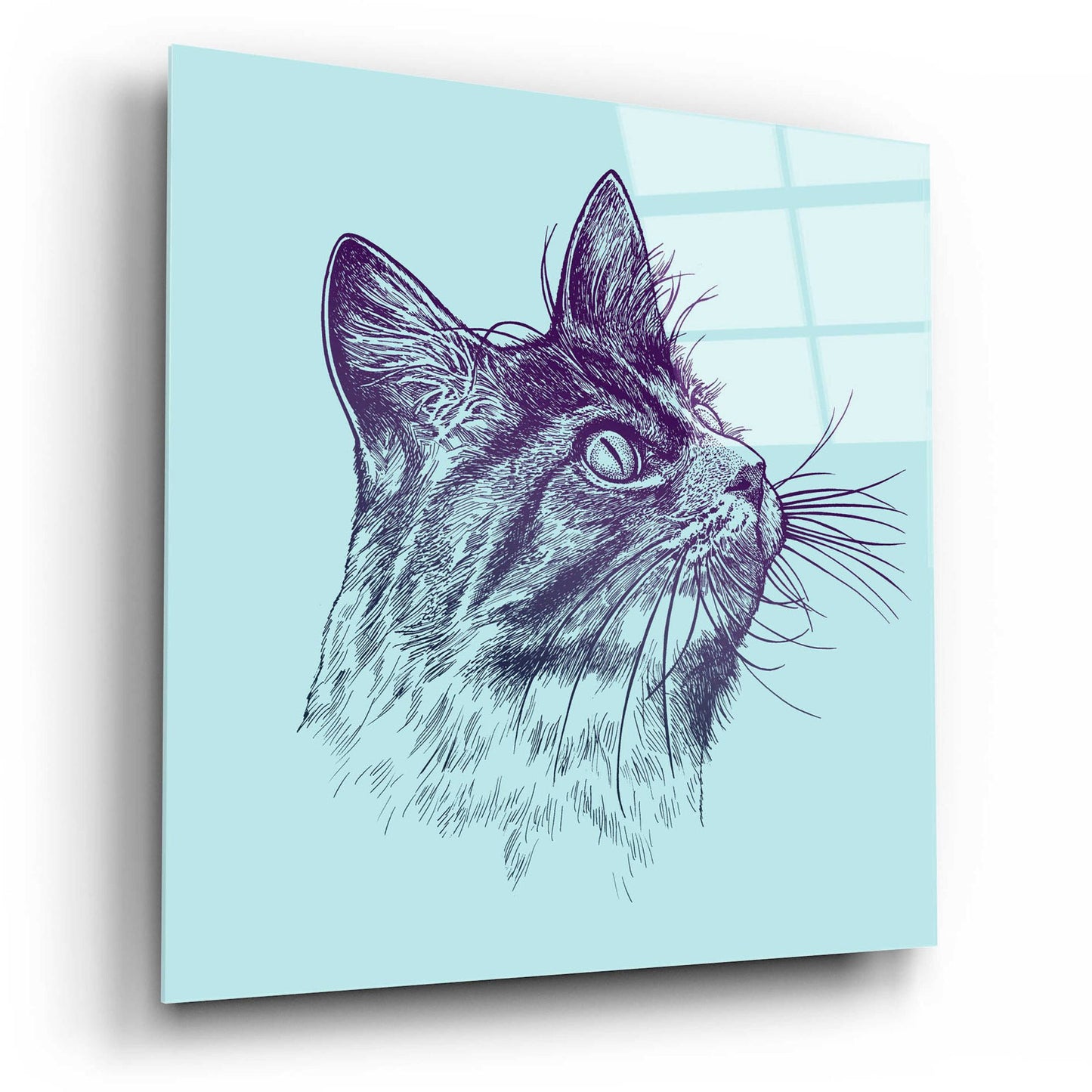 Epic Art 'Cat Looking Up' by Rachel Caldwell, Acrylic Glass Wall Art,12x12