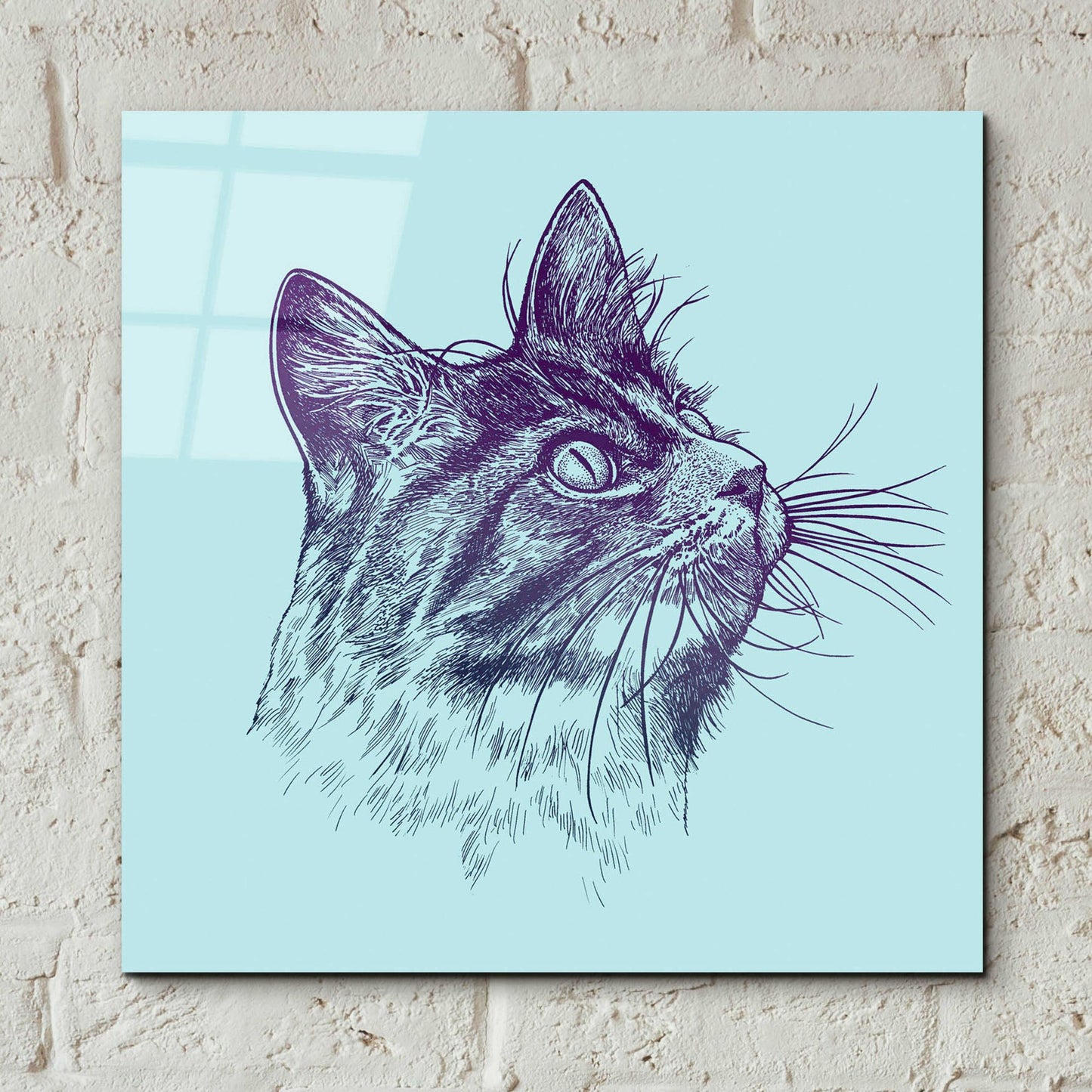 Epic Art 'Cat Looking Up' by Rachel Caldwell, Acrylic Glass Wall Art,12x12