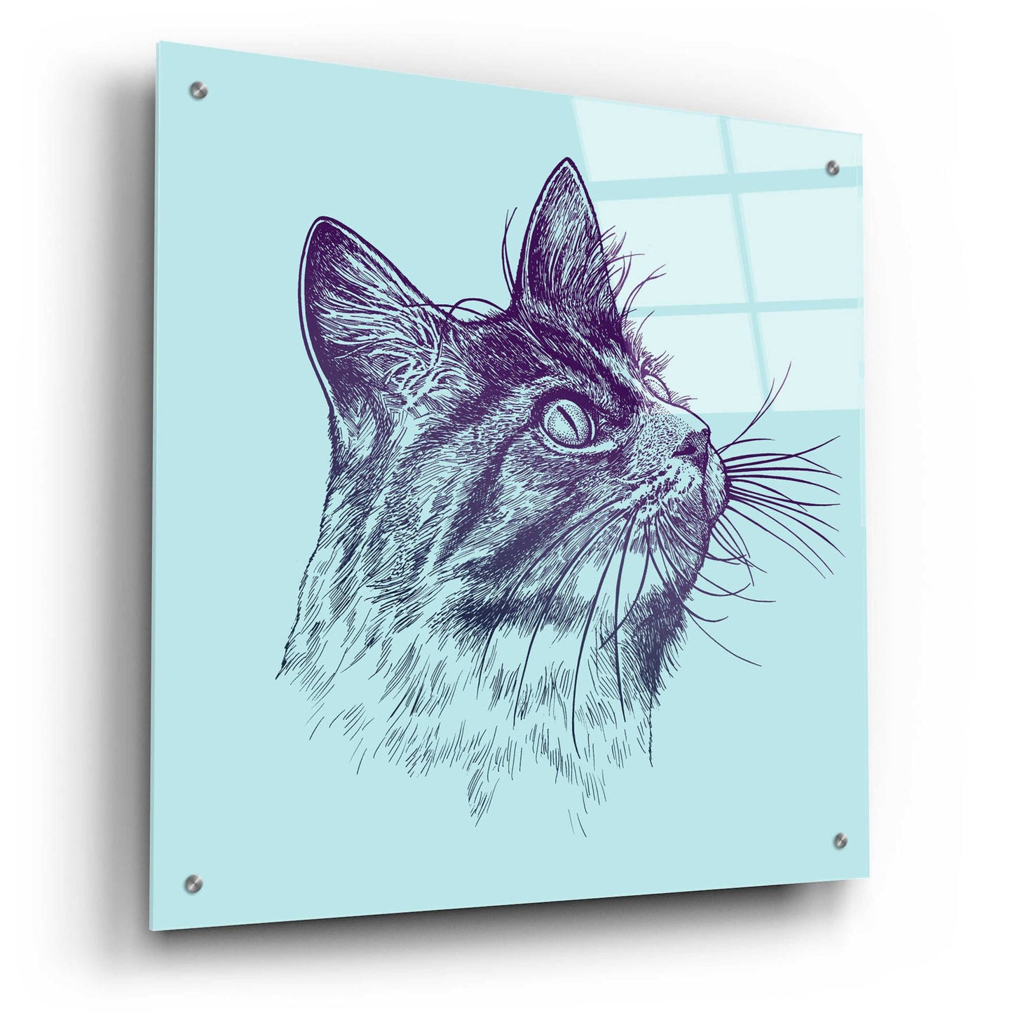 Epic Art 'Cat Looking Up' by Rachel Caldwell, Acrylic Glass Wall Art,24x24