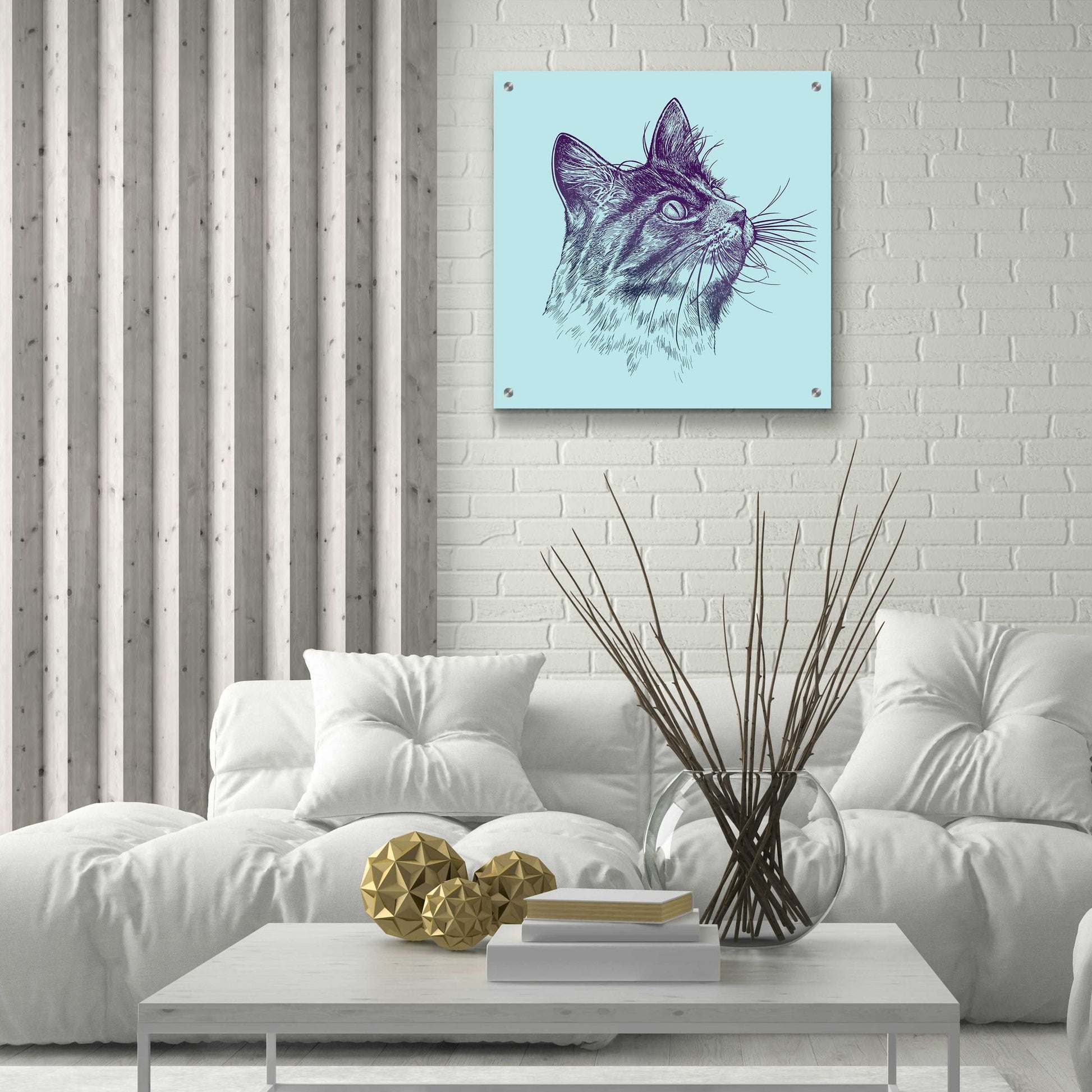 Epic Art 'Cat Looking Up' by Rachel Caldwell, Acrylic Glass Wall Art,24x24