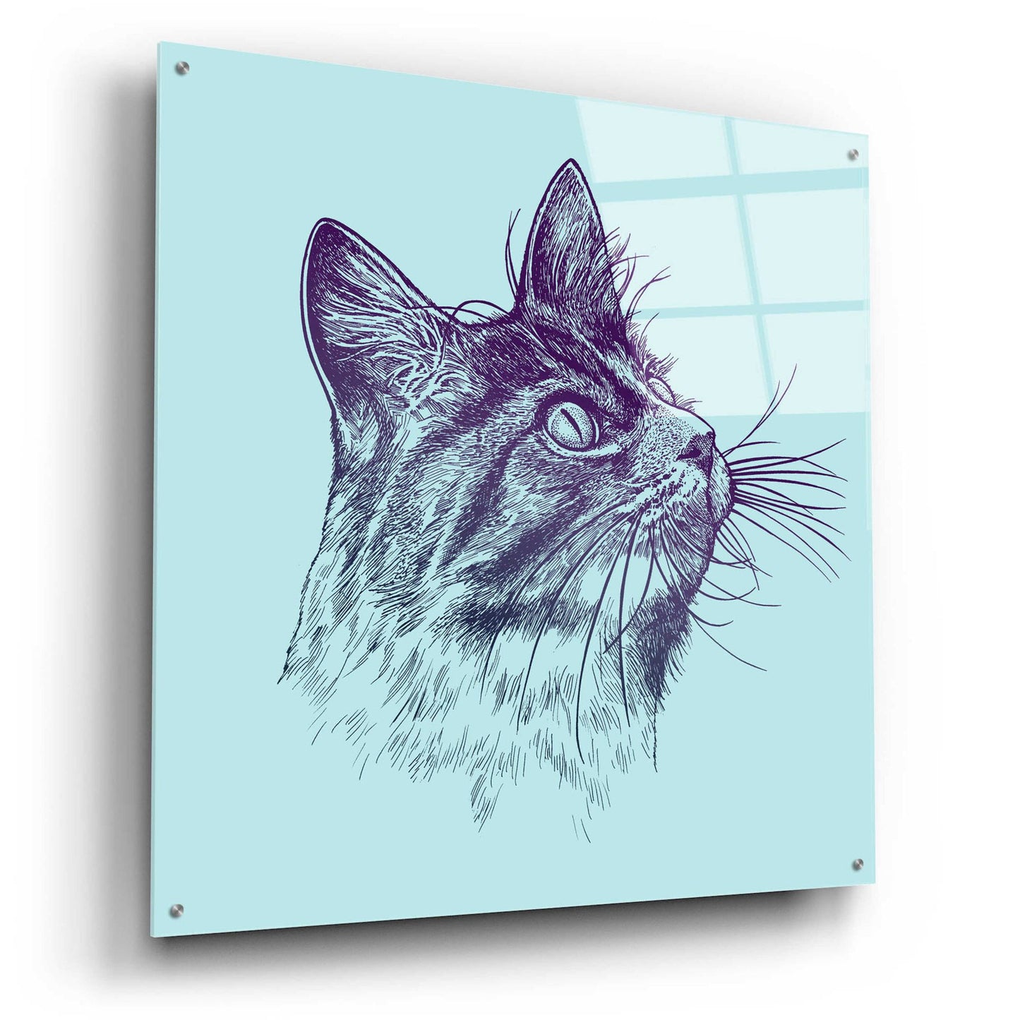 Epic Art 'Cat Looking Up' by Rachel Caldwell, Acrylic Glass Wall Art,36x36