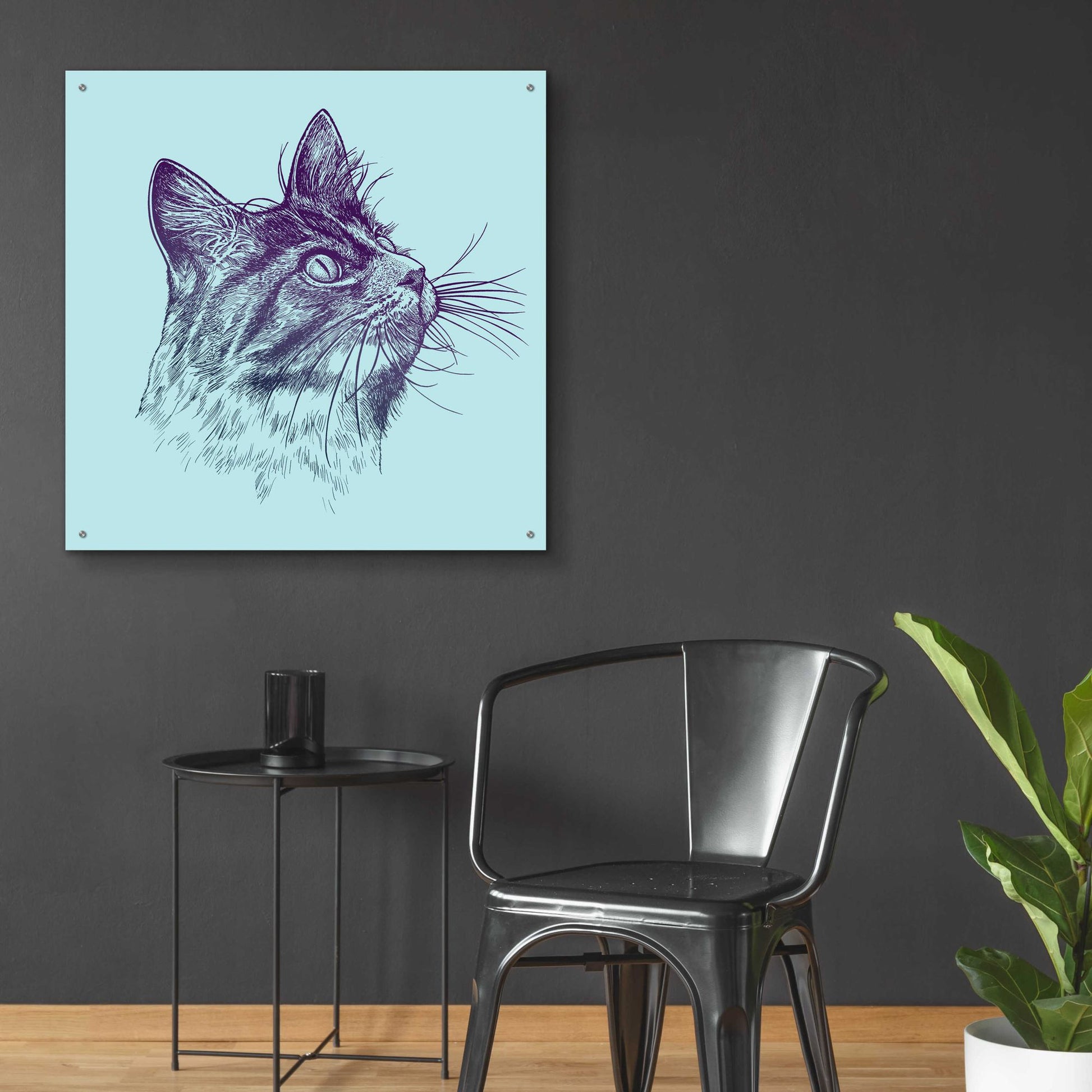 Epic Art 'Cat Looking Up' by Rachel Caldwell, Acrylic Glass Wall Art,36x36