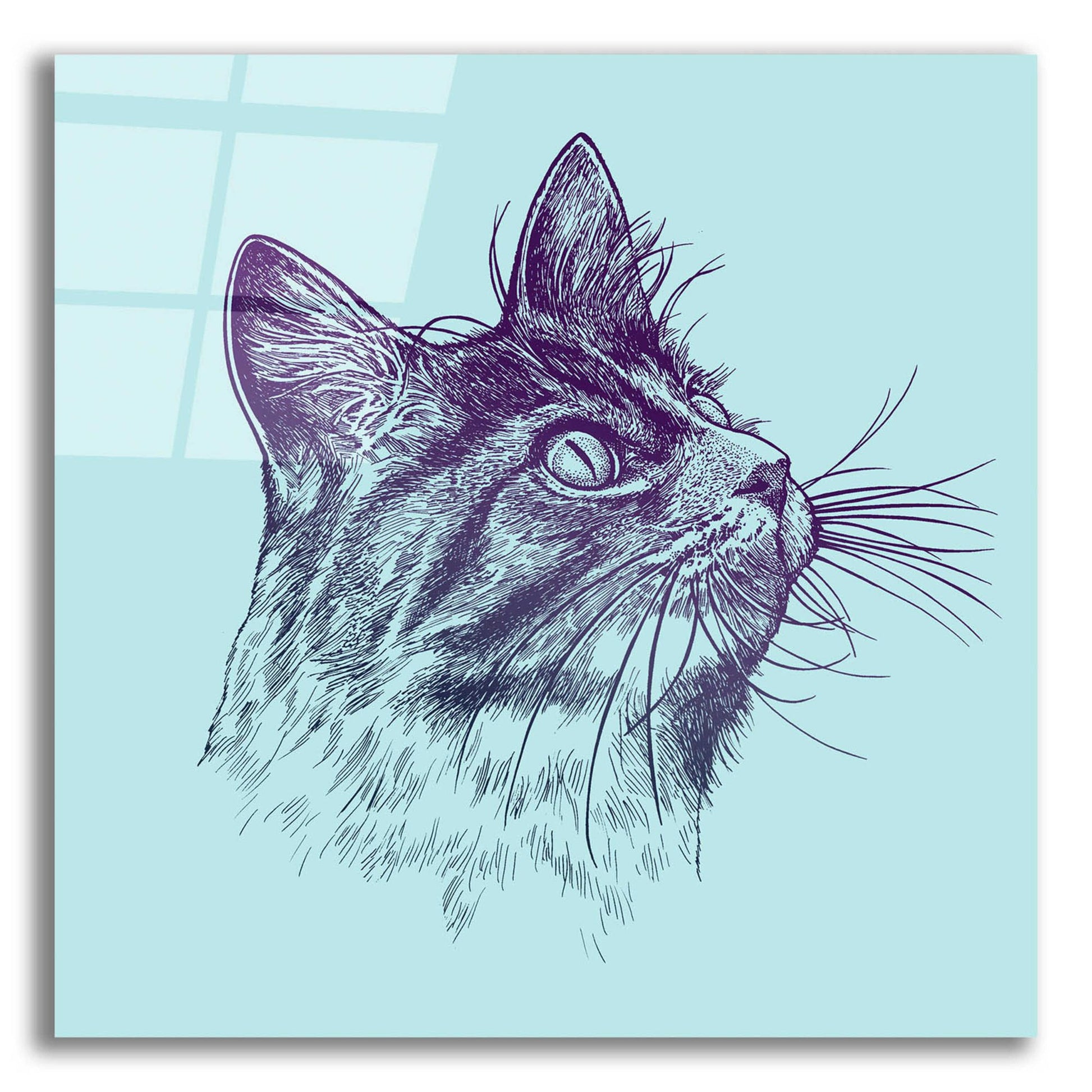 Epic Art 'Cat Looking Up' by Rachel Caldwell, Acrylic Glass Wall Art