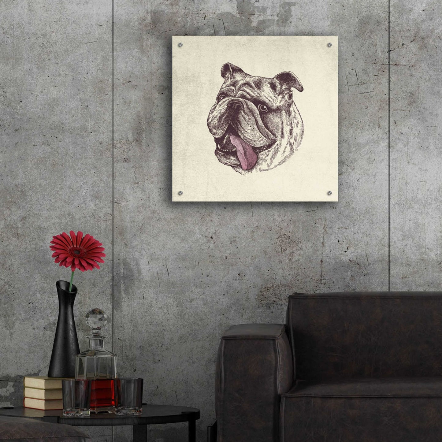 Epic Art 'Bulldog King' by Rachel Caldwell, Acrylic Glass Wall Art,24x24