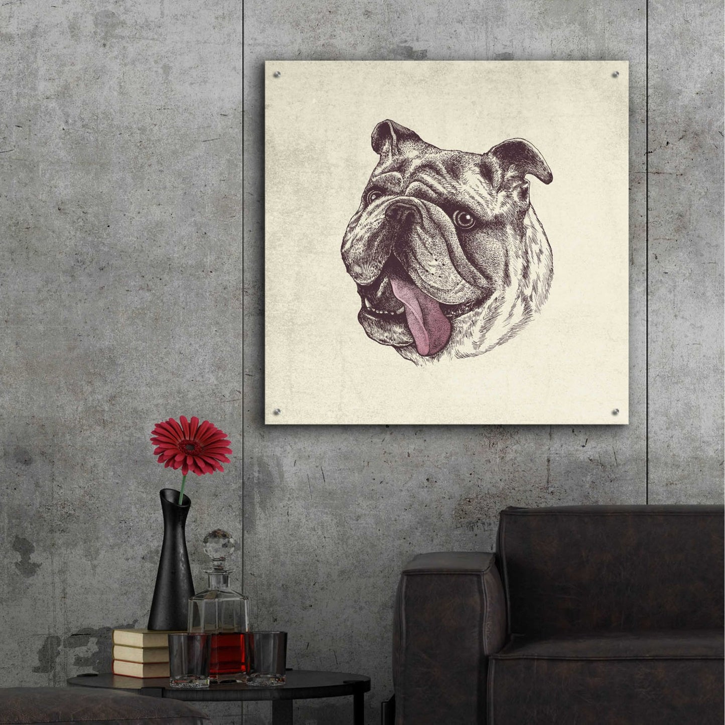 Epic Art 'Bulldog King' by Rachel Caldwell, Acrylic Glass Wall Art,36x36