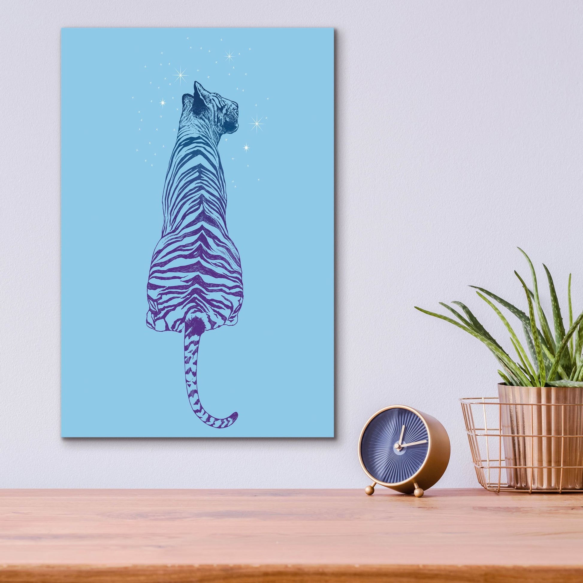 Epic Art 'Tiger Wonder' by Rachel Caldwell, Acrylic Glass Wall Art,12x16