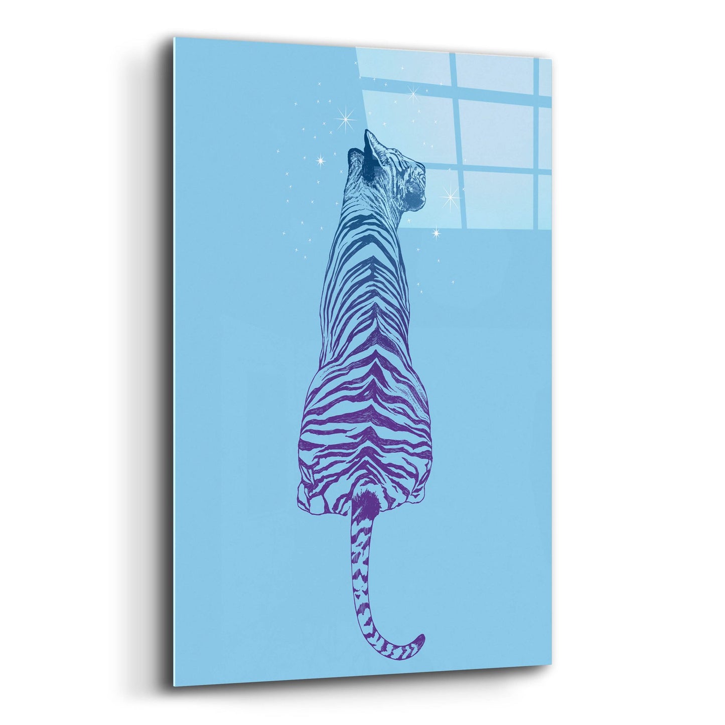 Epic Art 'Tiger Wonder' by Rachel Caldwell, Acrylic Glass Wall Art,16x24
