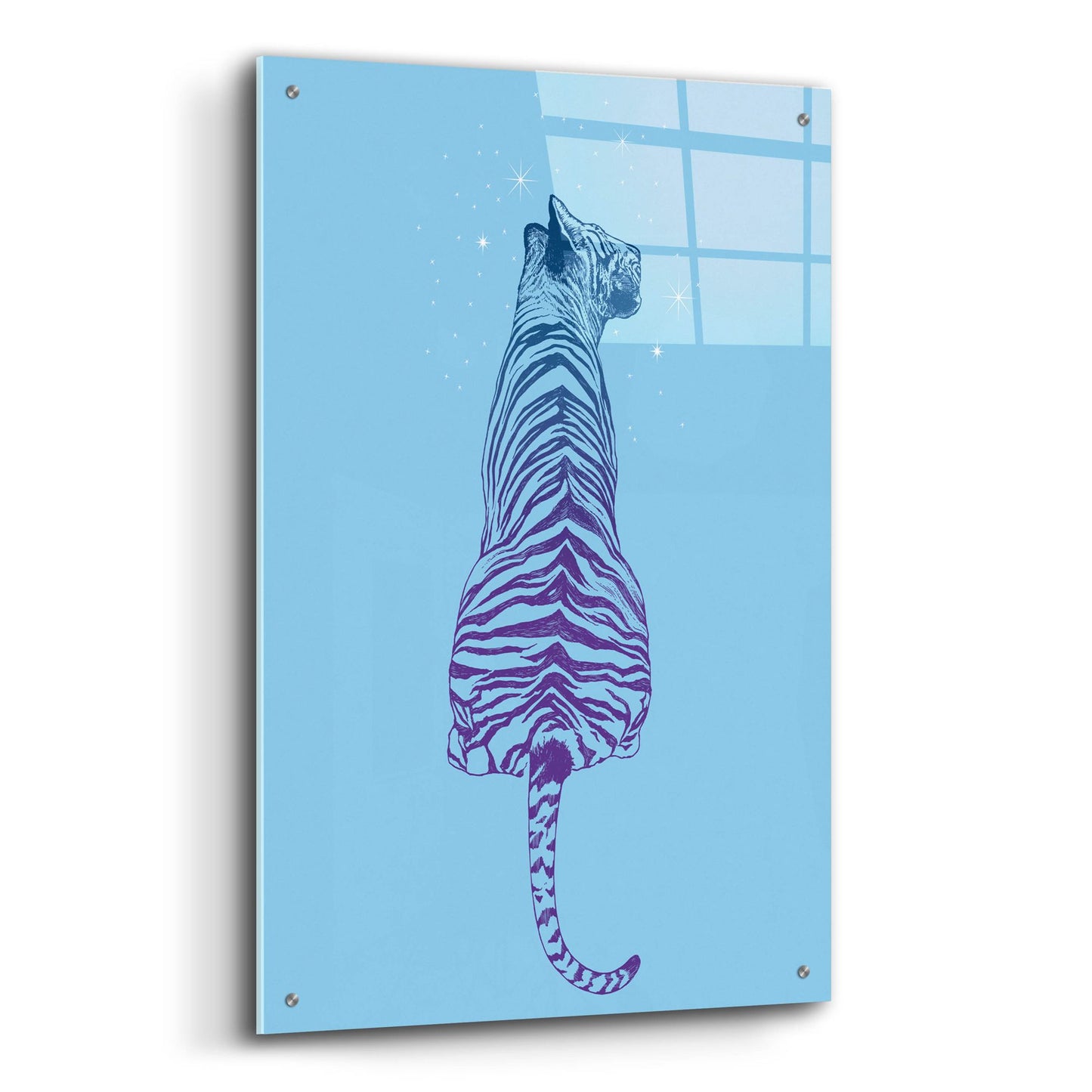 Epic Art 'Tiger Wonder' by Rachel Caldwell, Acrylic Glass Wall Art,24x36