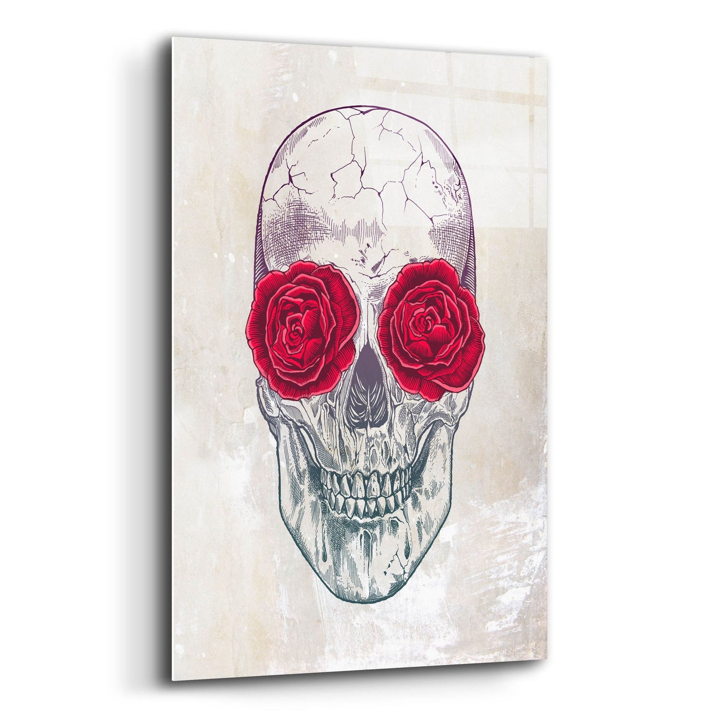 Epic Art 'Skull Roses' by Epic Portfolio, Acrylic Glass Wall Art,12x16