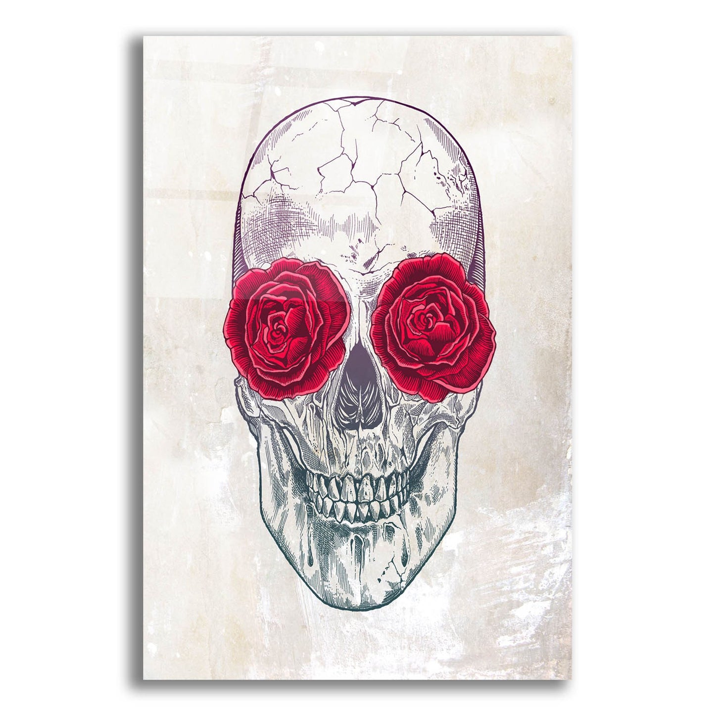 Epic Art 'Skull Roses' by Epic Portfolio, Acrylic Glass Wall Art,12x16