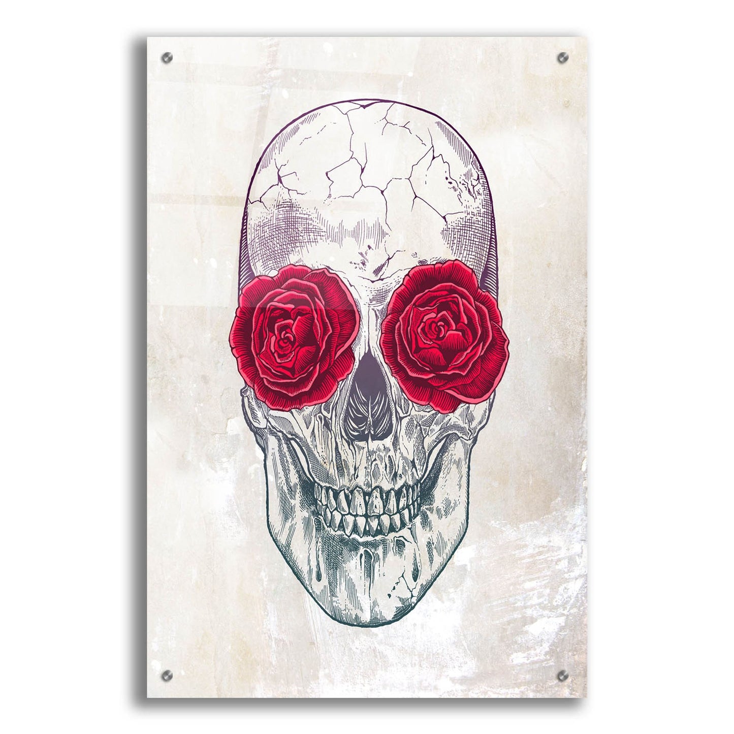 Epic Art 'Skull Roses' by Epic Portfolio, Acrylic Glass Wall Art,24x36