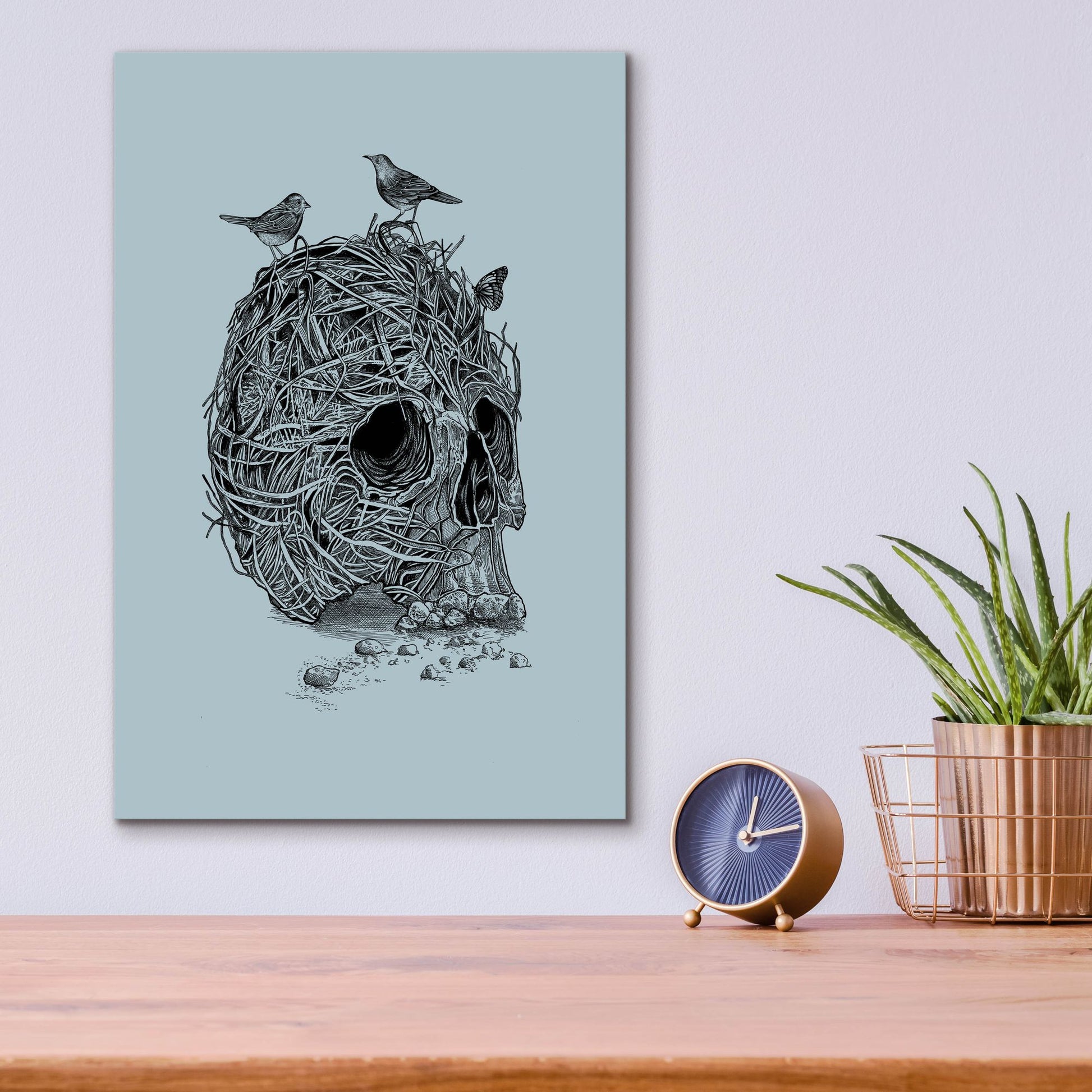 Epic Art 'Skull Nest' by Epic Portfolio, Acrylic Glass Wall Art,12x16