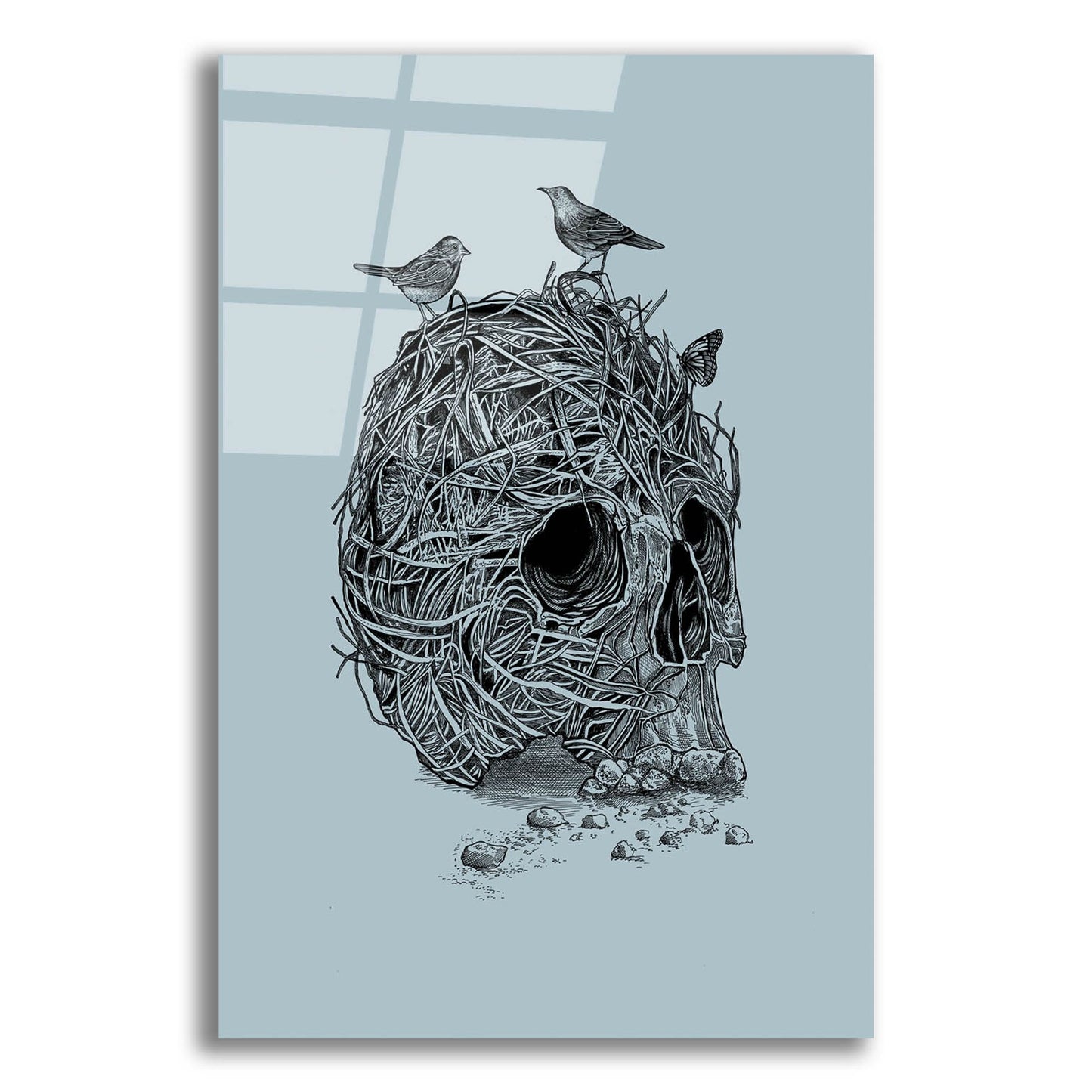 Epic Art 'Skull Nest' by Epic Portfolio, Acrylic Glass Wall Art,12x16