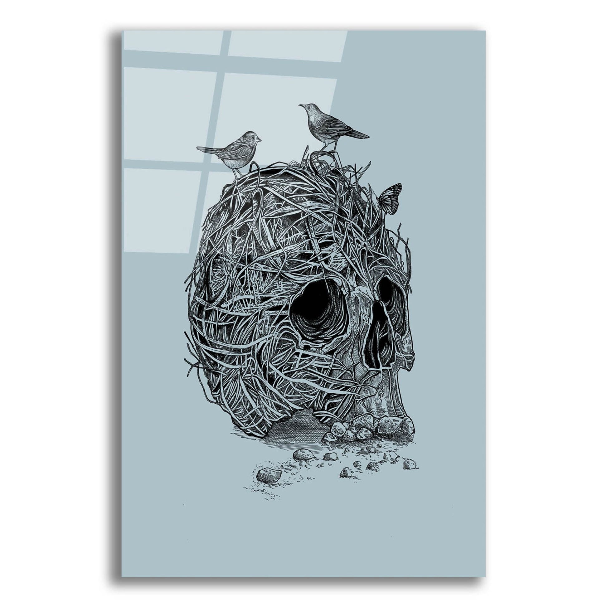 Epic Art 'Skull Nest' by Epic Portfolio, Acrylic Glass Wall Art,12x16