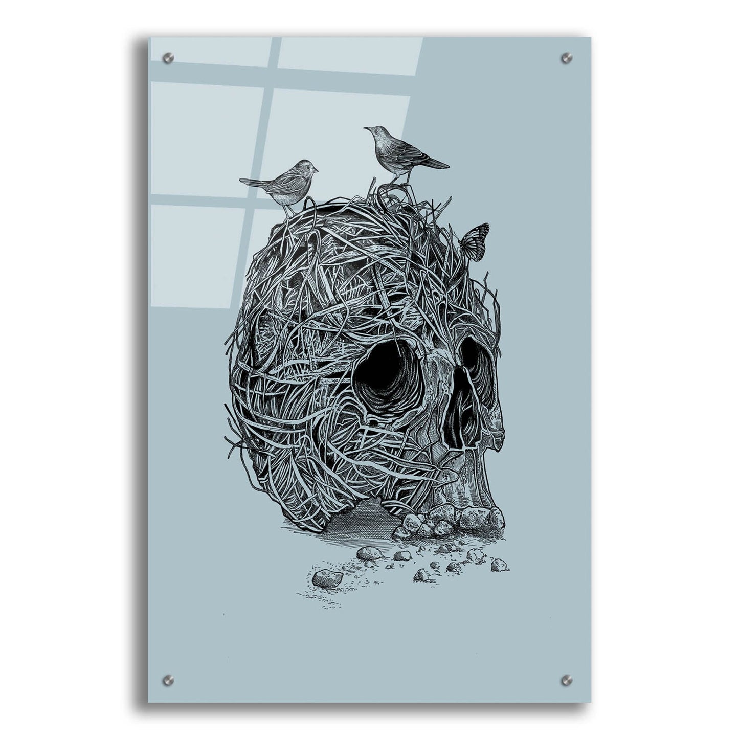 Epic Art 'Skull Nest' by Epic Portfolio, Acrylic Glass Wall Art,24x36