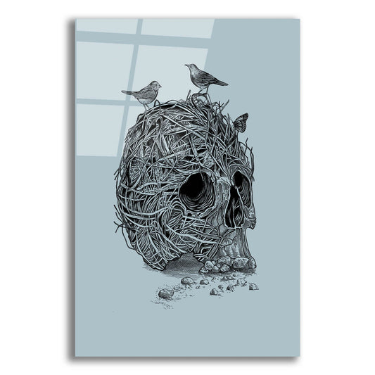 Epic Art 'Skull Nest' by Epic Portfolio, Acrylic Glass Wall Art