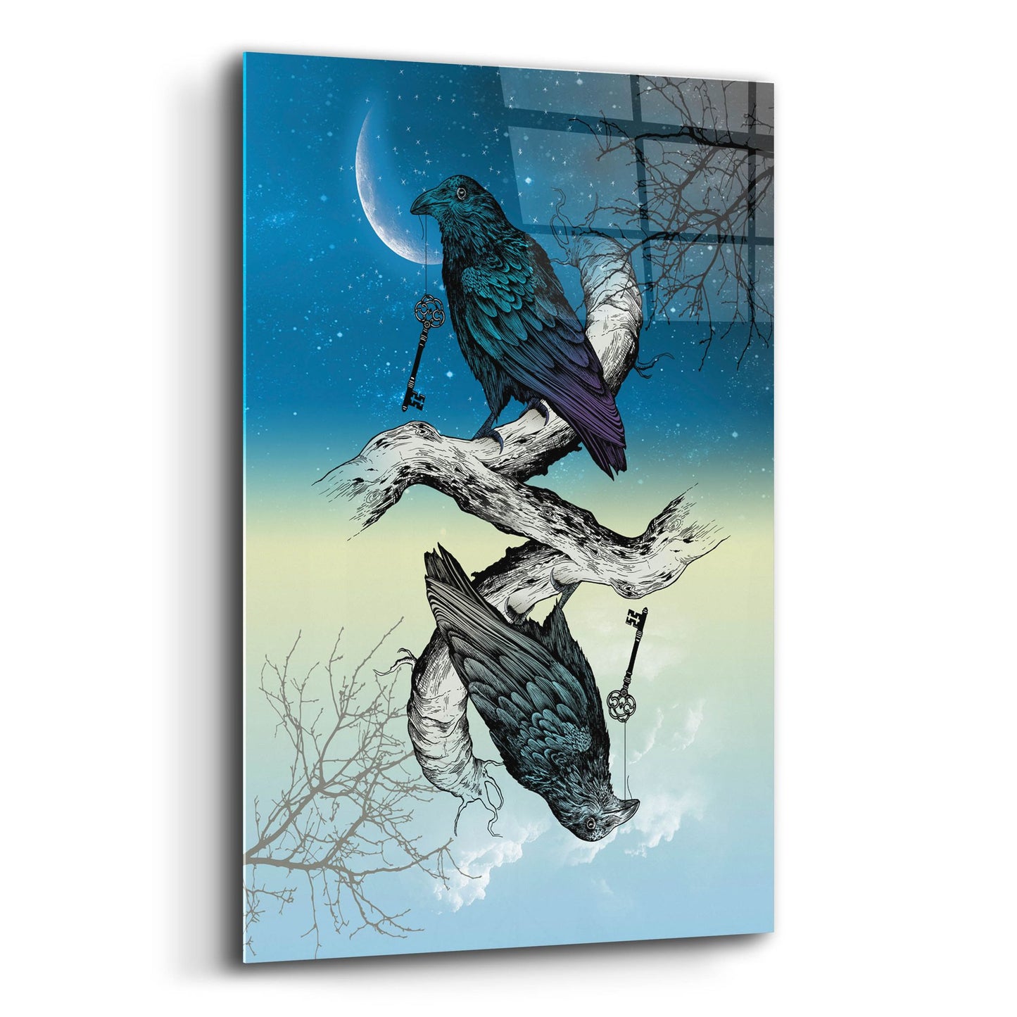 Epic Art 'Raven Night and Day' by Rachel Caldwell, Acrylic Glass Wall Art,12x16