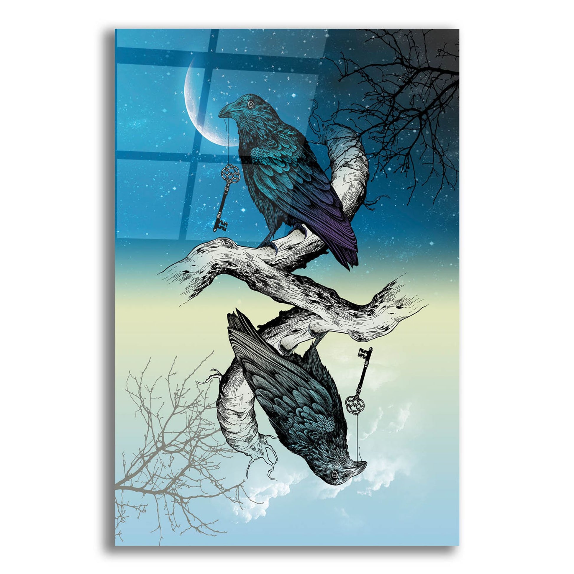 Epic Art 'Raven Night and Day' by Rachel Caldwell, Acrylic Glass Wall Art