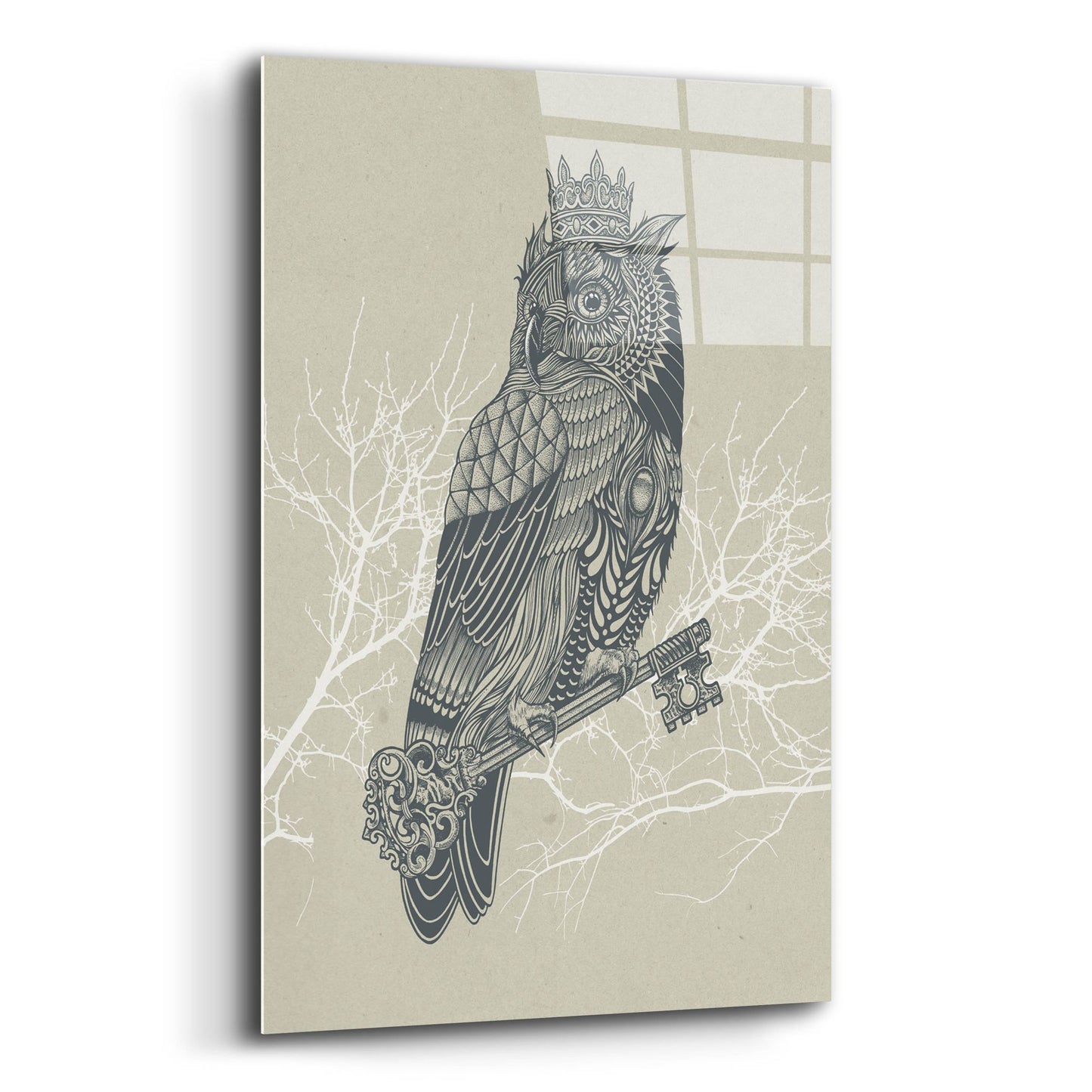 Epic Art 'Owl_King' by Epic Portfolio, Acrylic Glass Wall Art,12x16