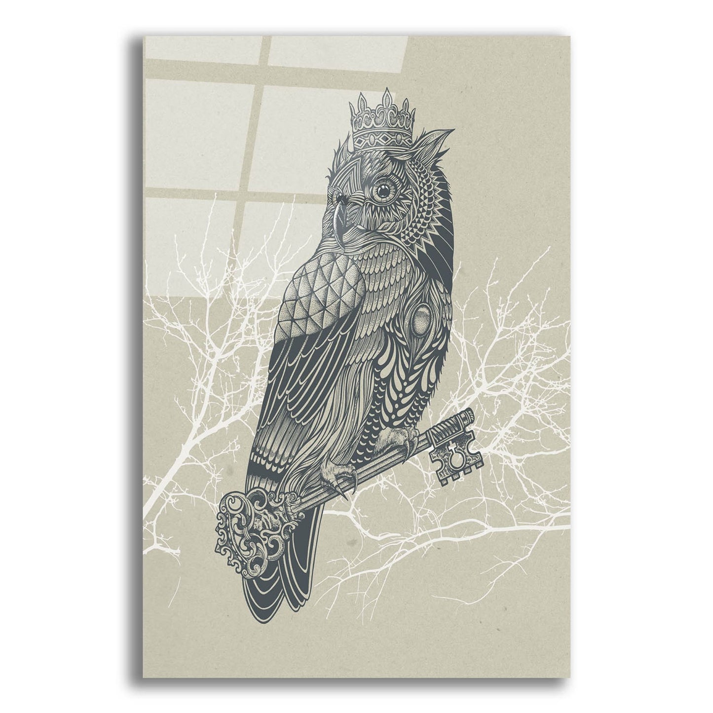 Epic Art 'Owl_King' by Epic Portfolio, Acrylic Glass Wall Art,12x16