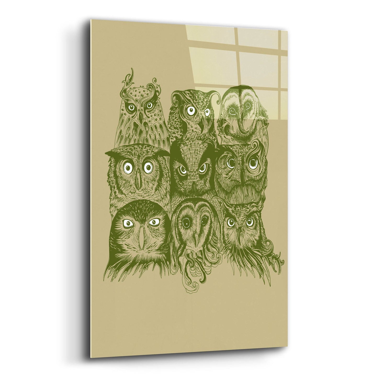 Epic Art 'Nine Owls' by Rachel Caldwell, Acrylic Glass Wall Art,12x16