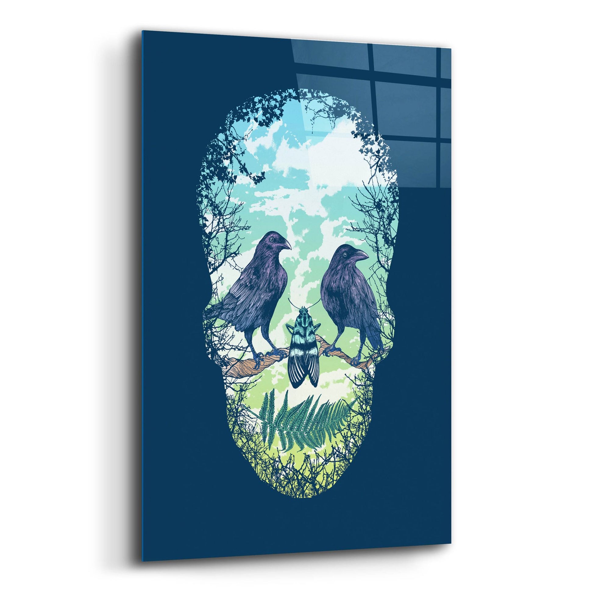 Epic Art 'Nature Skull' by Rachel Caldwell, Acrylic Glass Wall Art,12x16