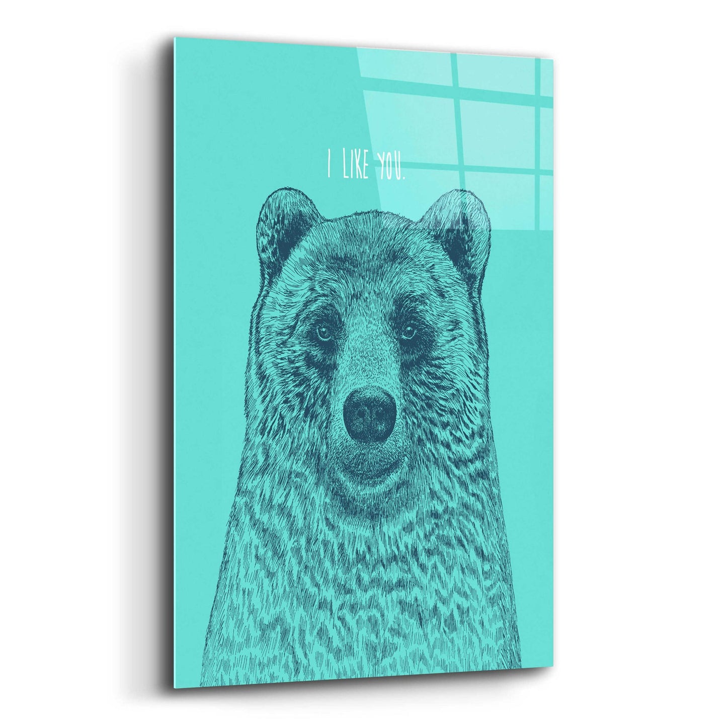 Epic Art 'I Like You Bear' by Rachel Caldwell, Acrylic Glass Wall Art,12x16