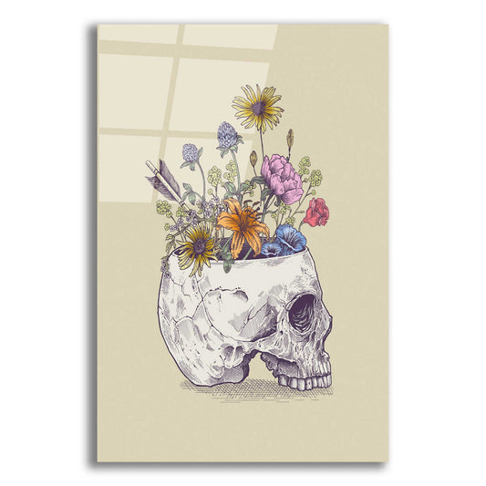 Epic Art 'Half Skull Flowers' by Rachel Caldwell, Acrylic Glass Wall Art