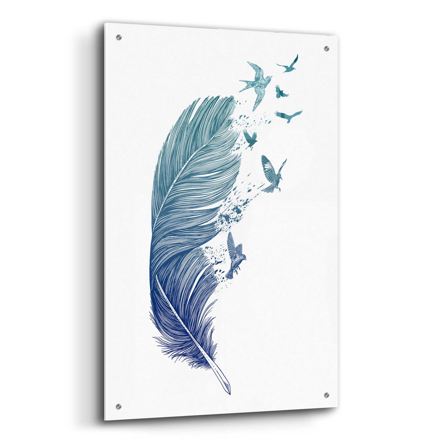 Epic Art 'Fly Away' by Rachel Caldwell, Acrylic Glass Wall Art,24x36