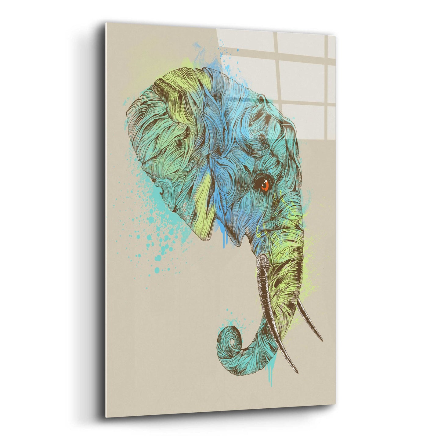 Epic Art 'Elephant King' by Rachel Caldwell, Acrylic Glass Wall Art,12x16