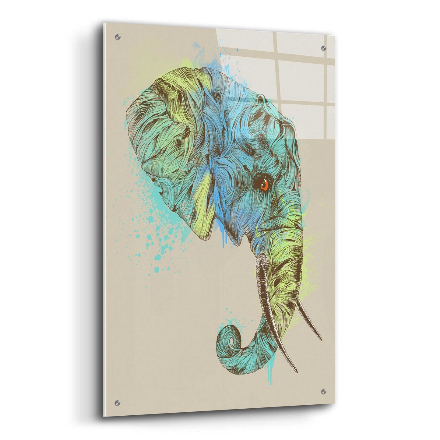 Epic Art 'Elephant King' by Rachel Caldwell, Acrylic Glass Wall Art,24x36