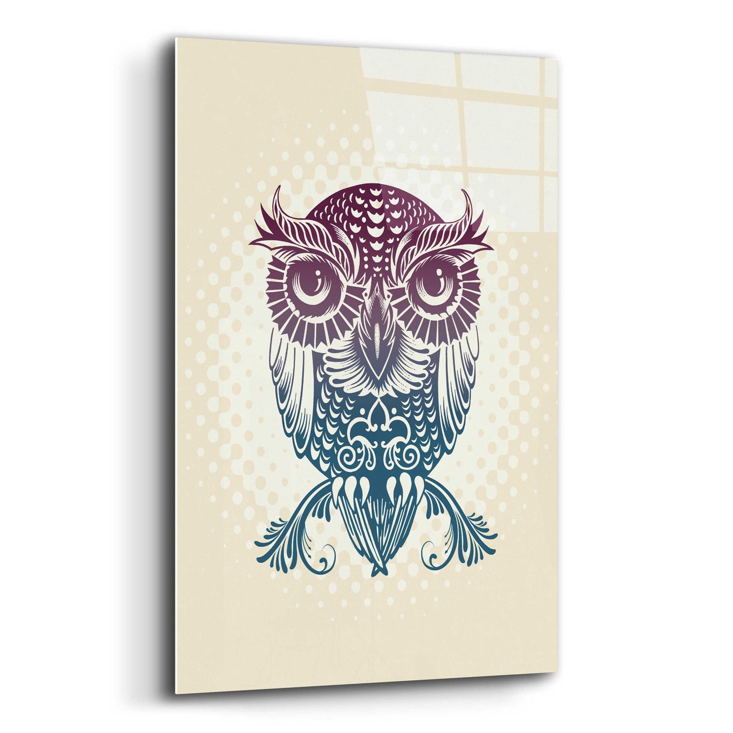 Epic Art 'Baby Egypt Owl' by Rachel Caldwell, Acrylic Glass Wall Art,12x16