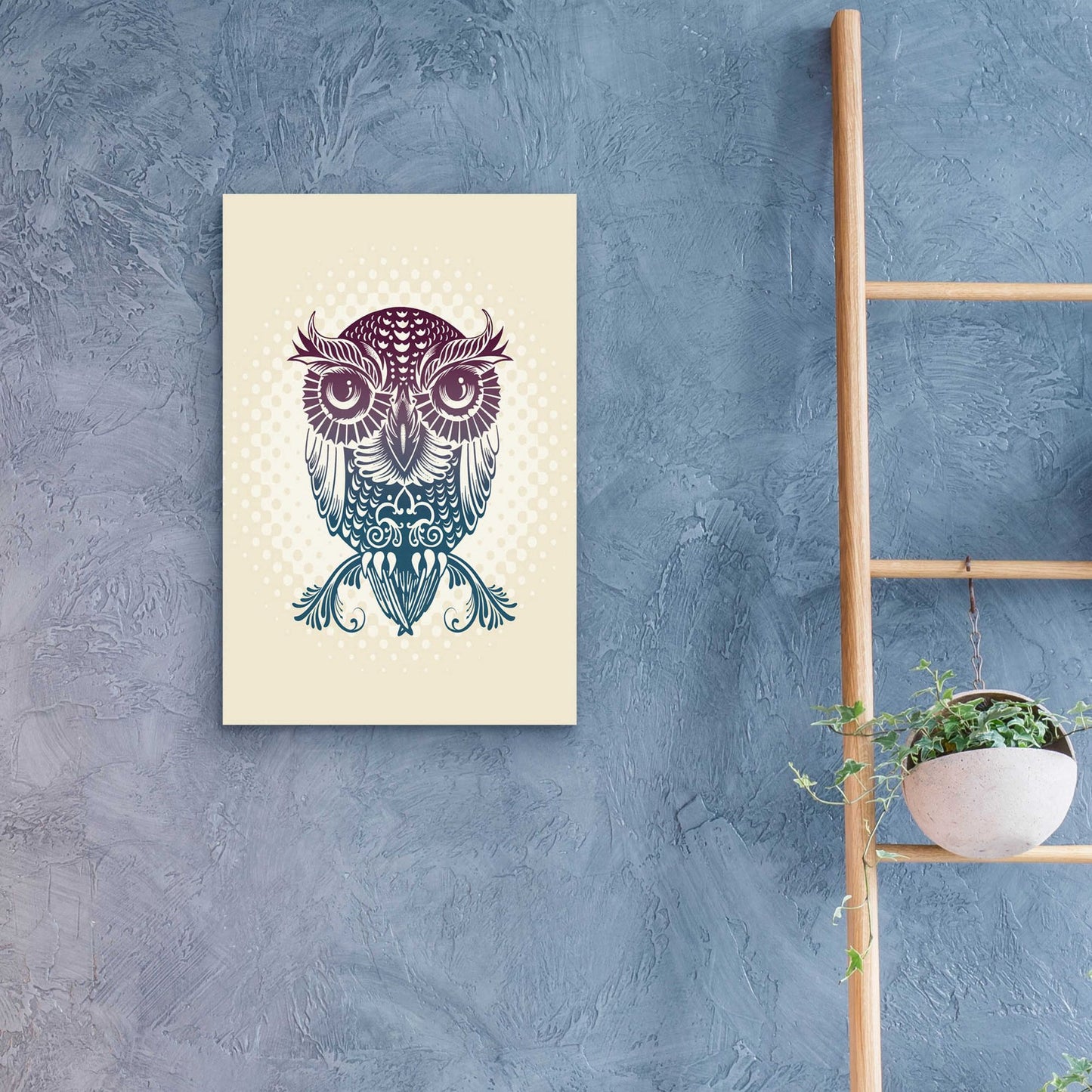 Epic Art 'Baby Egypt Owl' by Rachel Caldwell, Acrylic Glass Wall Art,16x24