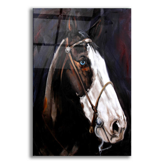 Epic Art 'Bold Faced' by Renee Gould, Acrylic Glass Wall Art
