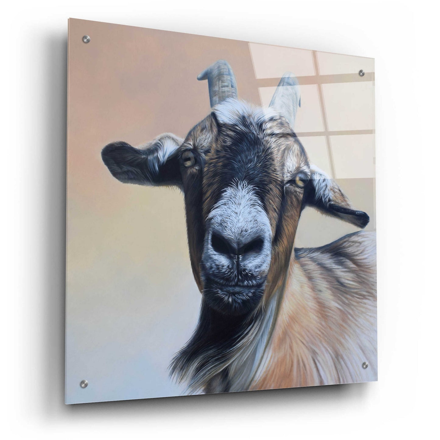 Epic Art 'Rosie' by Sam Dolman, Acrylic Glass Wall Art,24x24