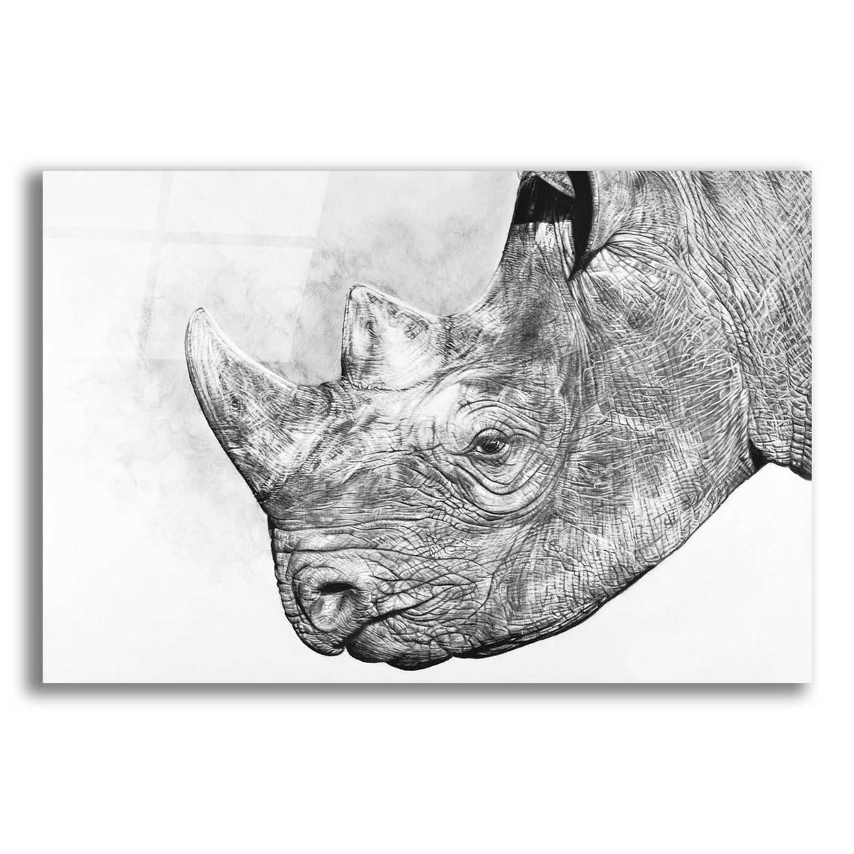 Epic Art 'Clara' by Sam Dolman, Acrylic Glass Wall Art